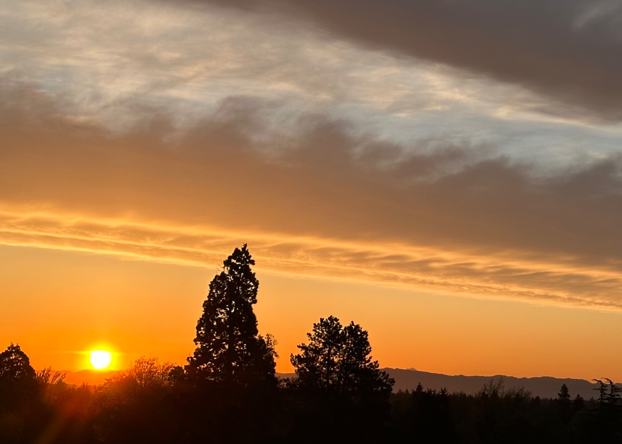 Community photo by Victoria Bryhan | Corvallis, Oregon
