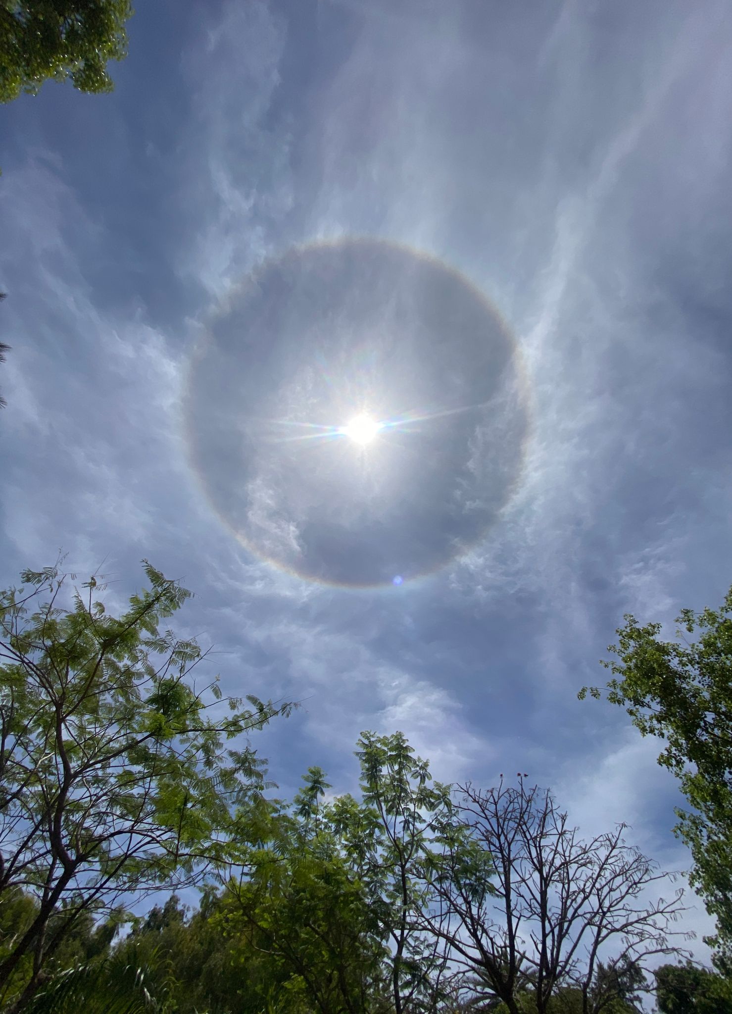 Community photo by Sahil Zutshi | Mt. Abu, Rajasthan, India