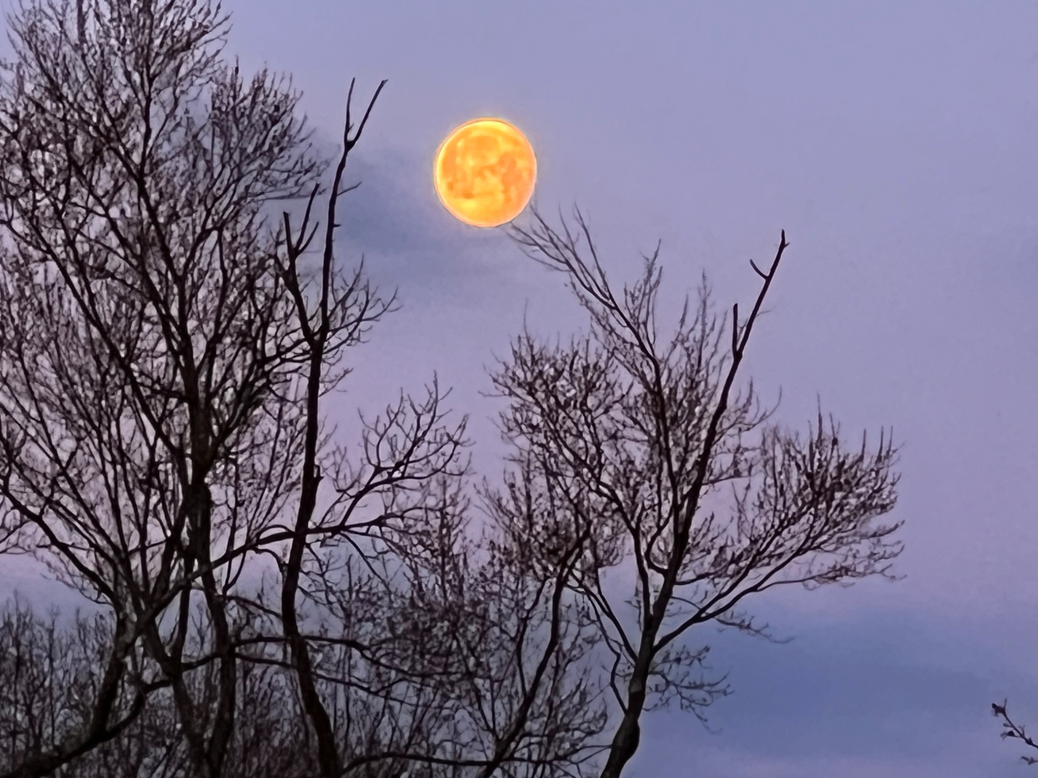 Community photo by Sudhir Sharma | Stormville, NY