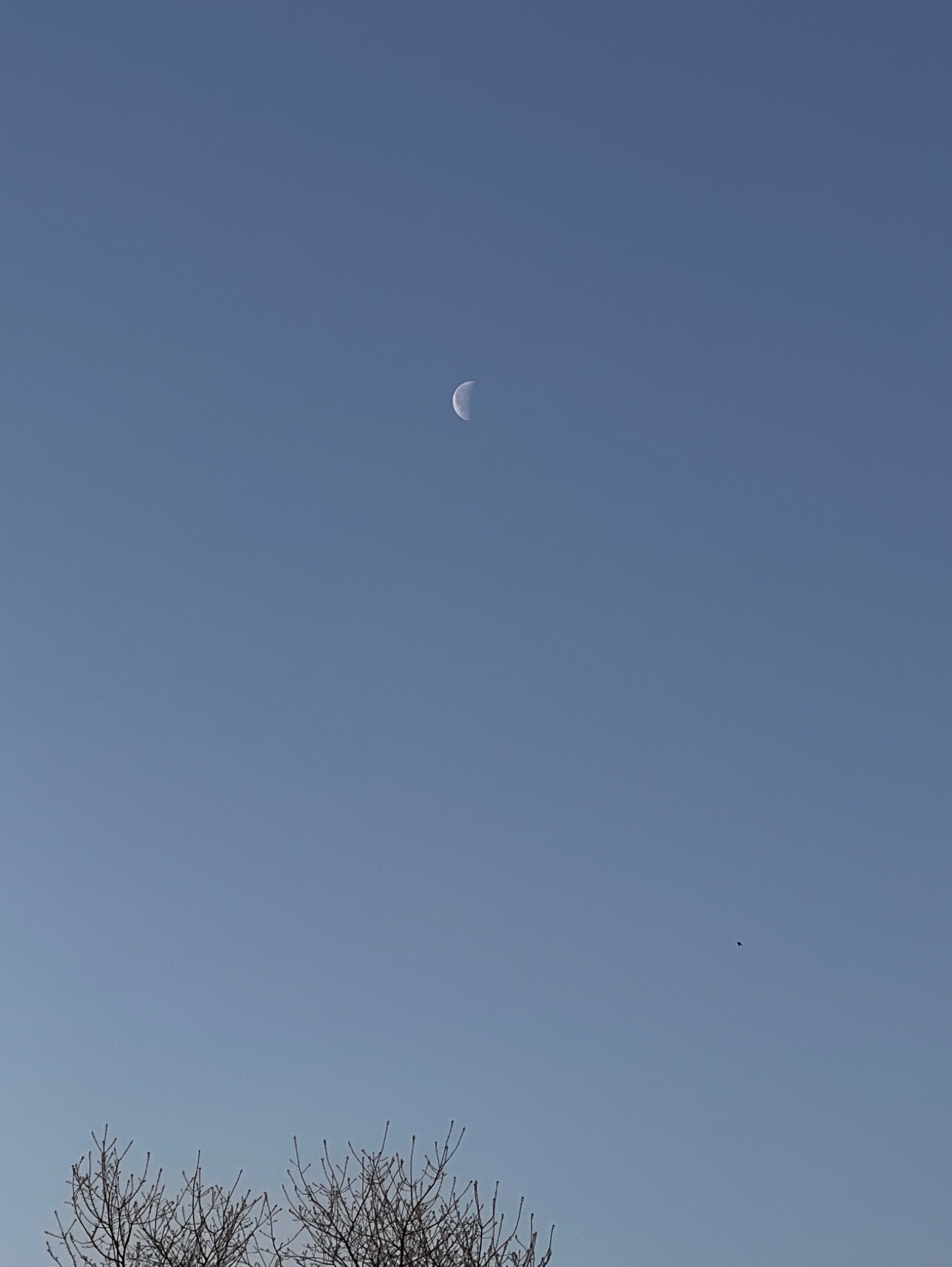 Community photo by Sudhir Sharma | Stormville, NY