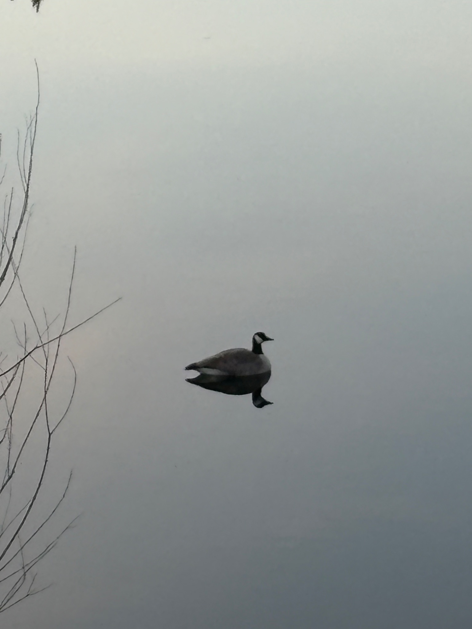 Community photo by Himanshu Patel | Brampton, Ontario, Canada