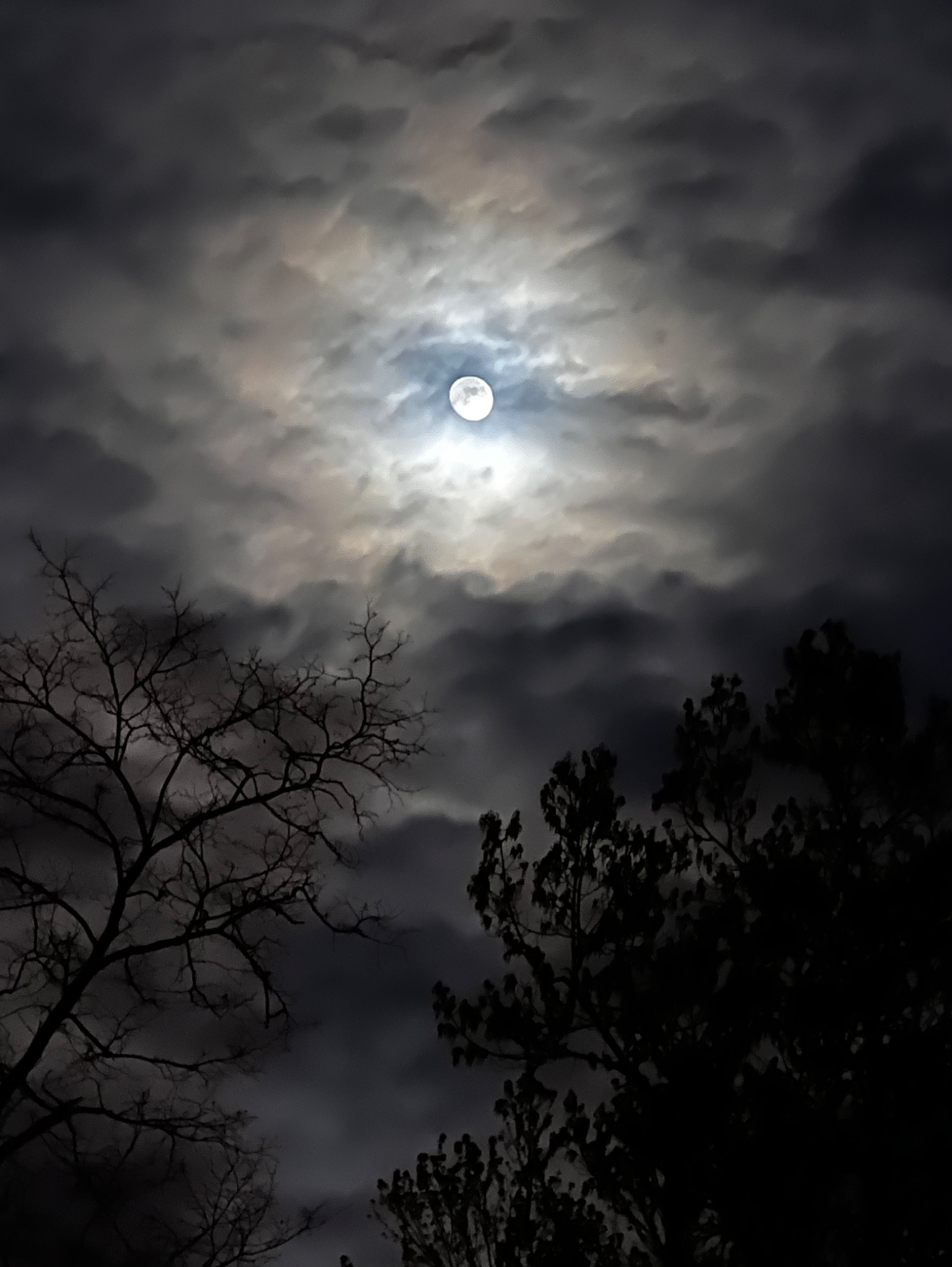 Community photo by Sudhir