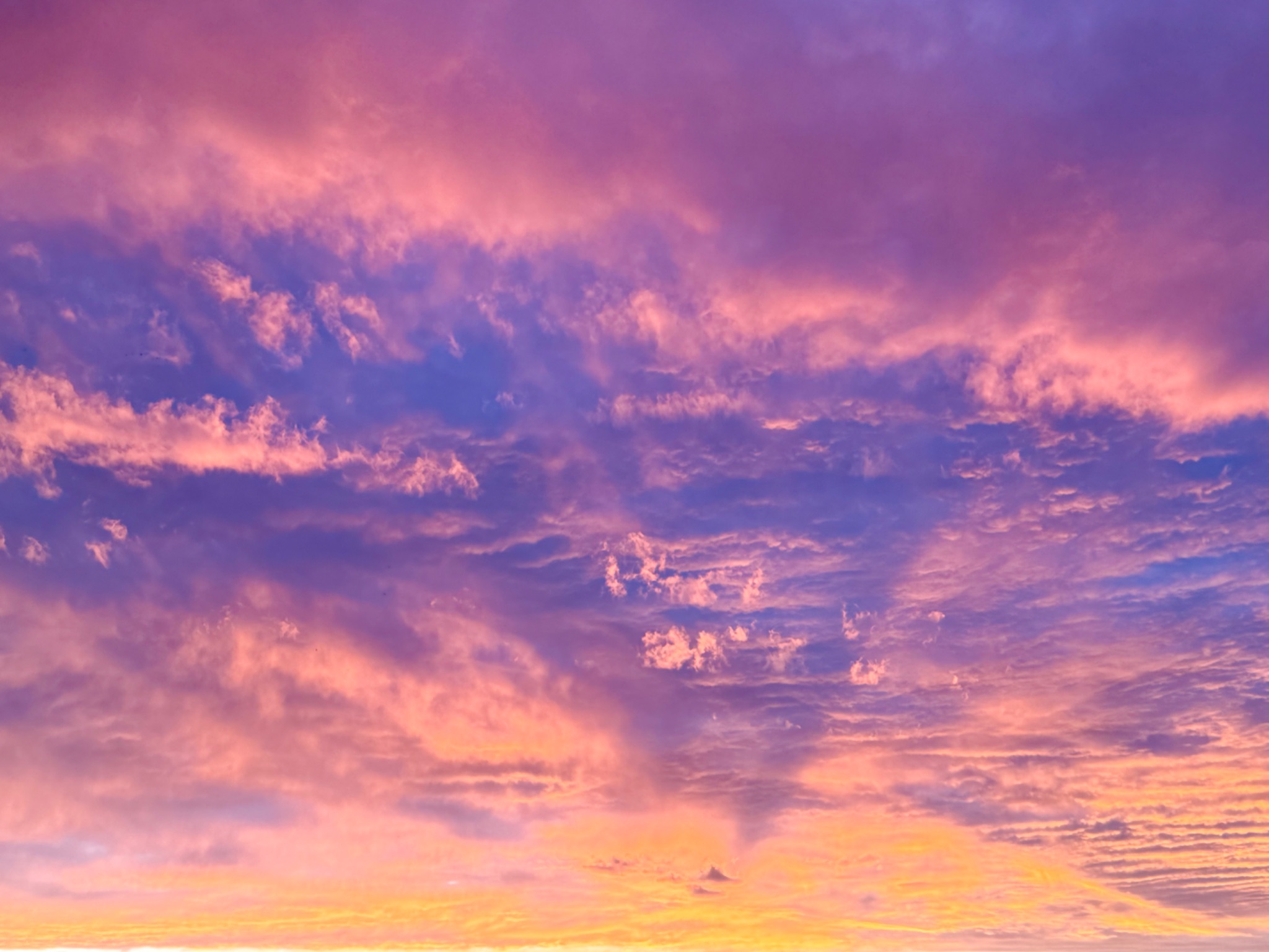 Community photo by Nancy Case | Indian Rocks Beach, Florida