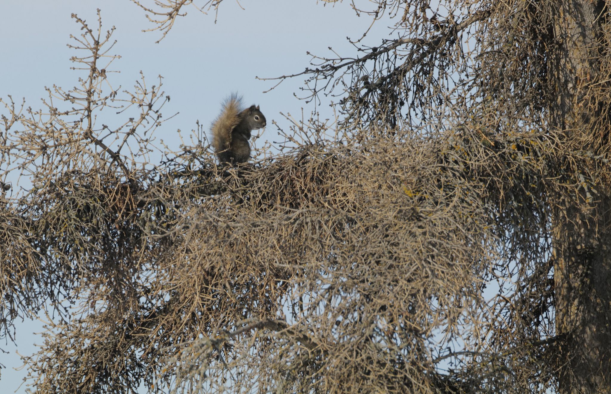 Community photo by Elmarie van Rooyen | Smoky Lake, Alberta