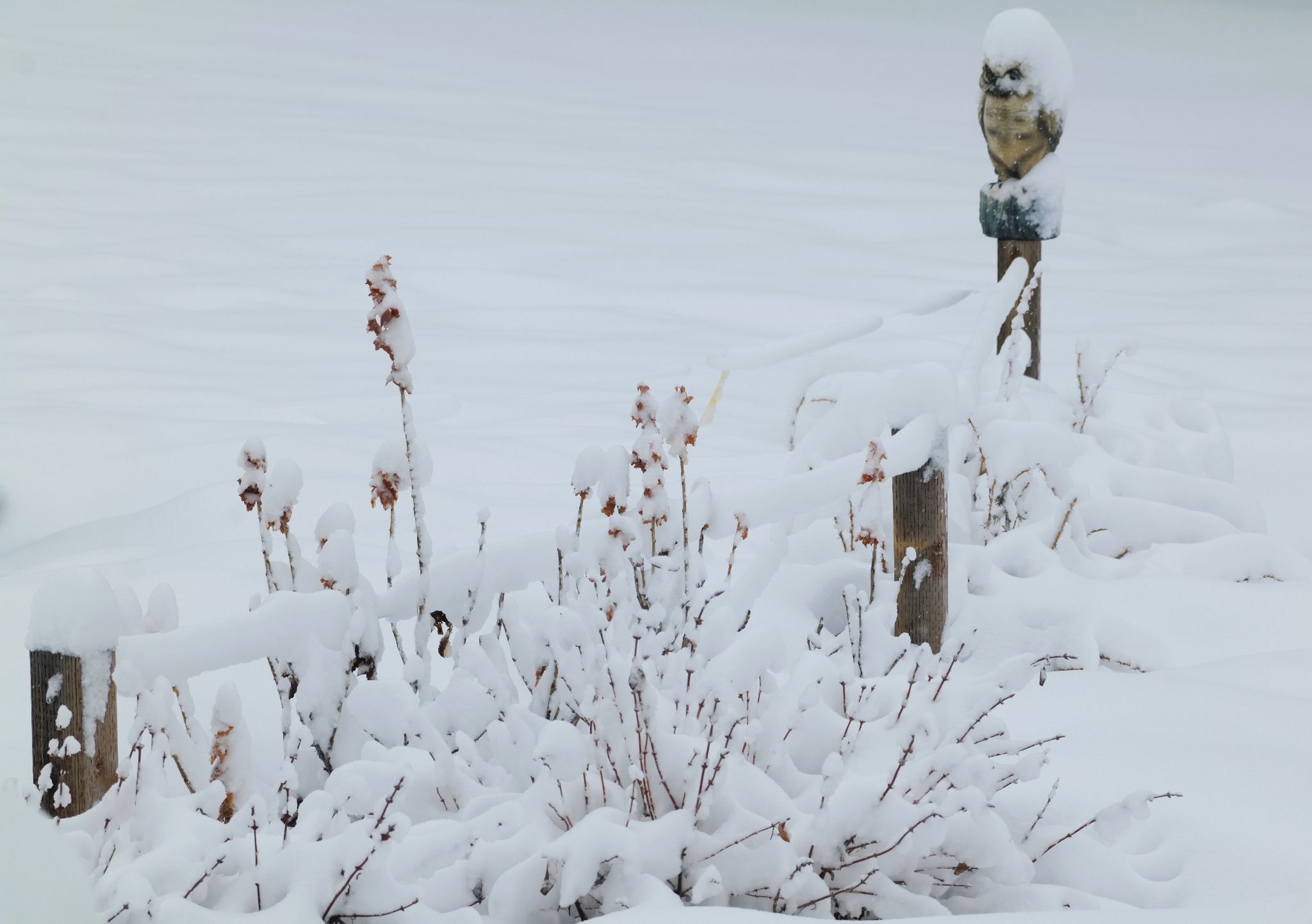 Community photo by Elmarie van Rooyen | Smoky Lake, Alberta