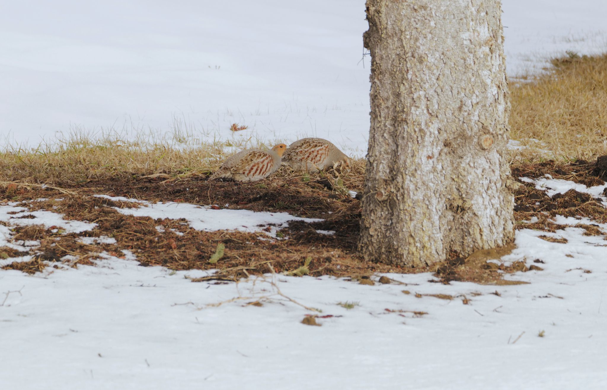 Community photo by Elmarie van Rooyen | Smoky Lake, Alberta