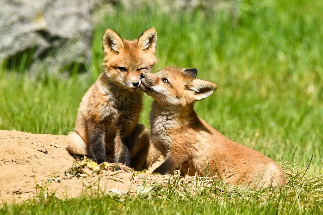 Community photo by Lorraine Boyd | Waterford, New York