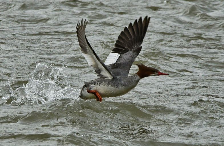 Community photo by Lorraine Boyd | Central Bridge, New York