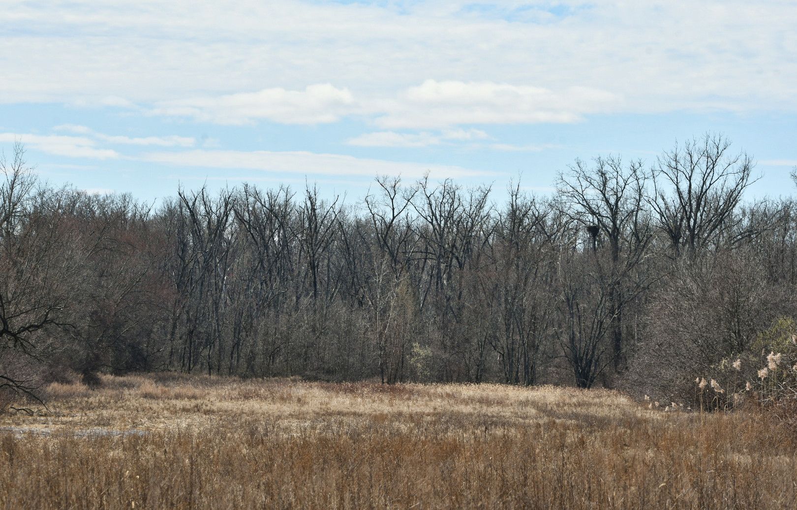 Community photo by Lorraine Boyd | Castleton, New York
