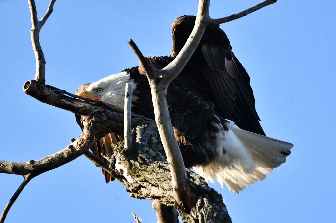 Community photo by Lorraine Boyd | Waterford, New York