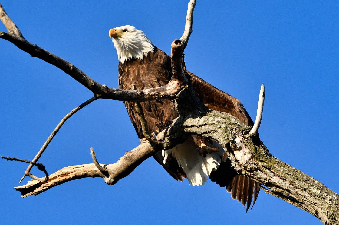 Community photo by Lorraine Boyd | Waterford, New York