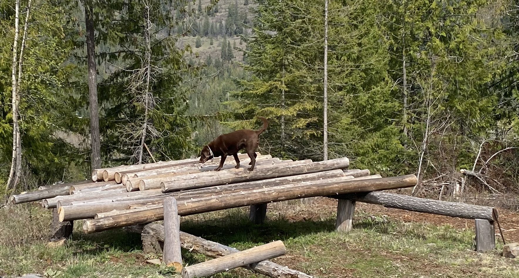 Community photo by Mac Campbell | Clark Fork, Idaho