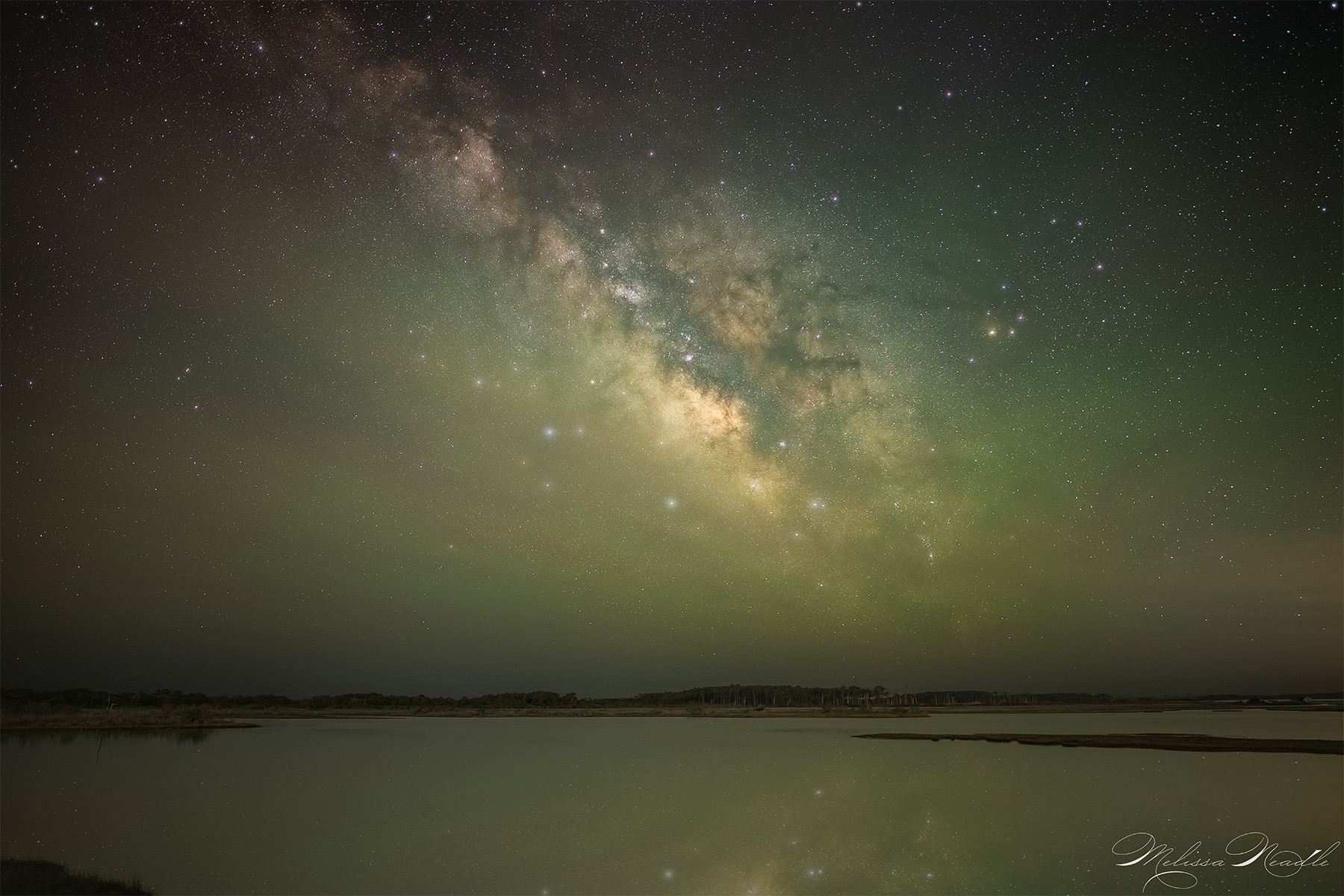 Community photo by Melissa Neadle | Assateague Island National Seashore