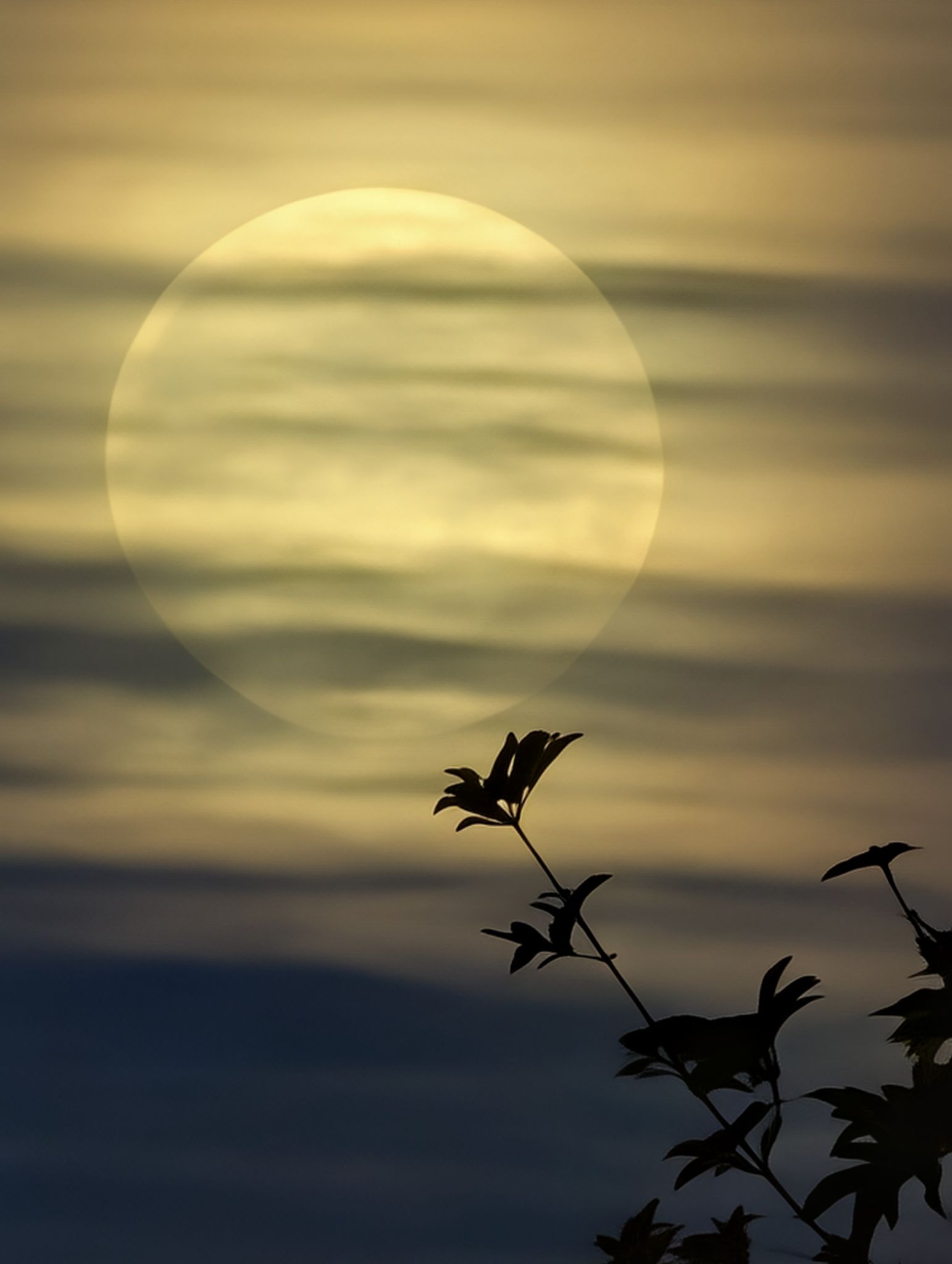 Community photo by Craig Ruark | Summerlin, Las Vegas, Nevada