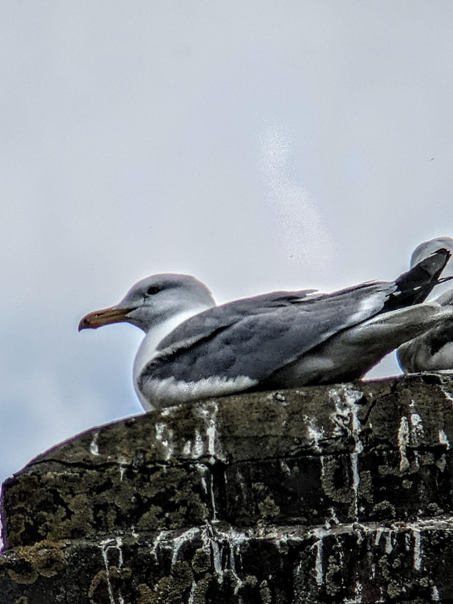 Community photo by Kevan