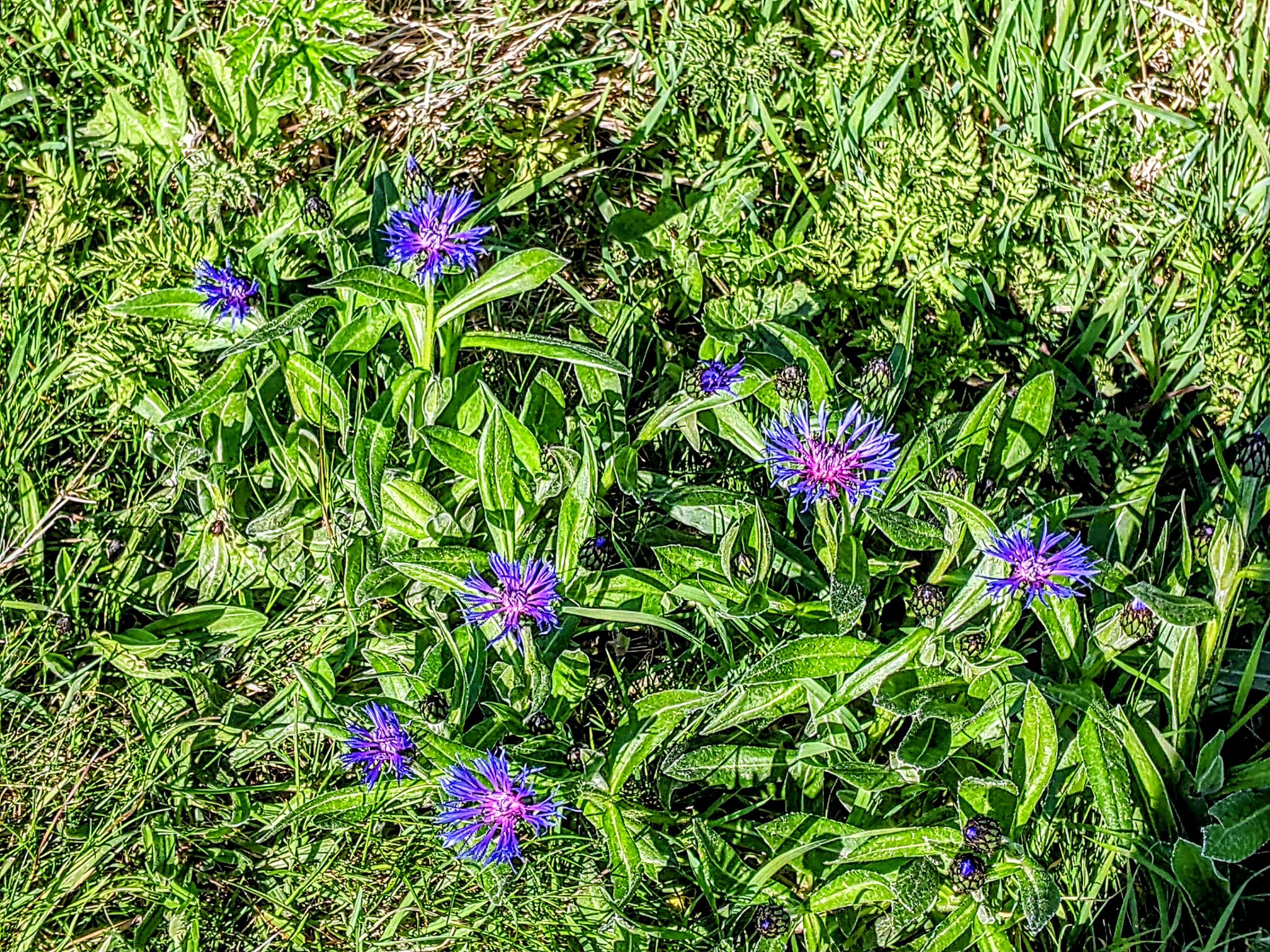 Community photo by Kevan Hubbard | Teesmouth Nature Reserve ,Co Durham ,England