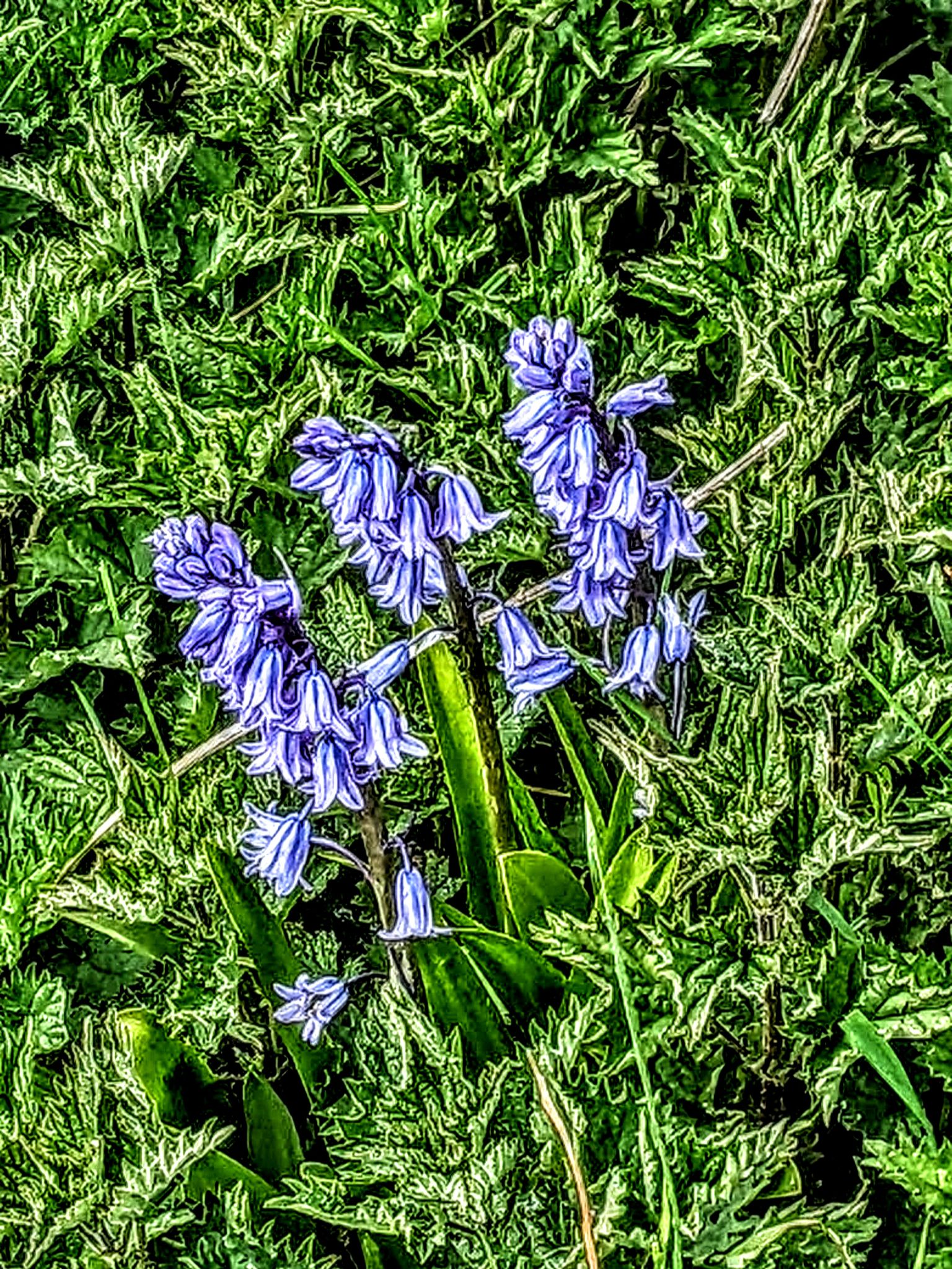 Community photo by Kevan Hubbard | Teesmouth Nature Reserve ,Co Durham ,England