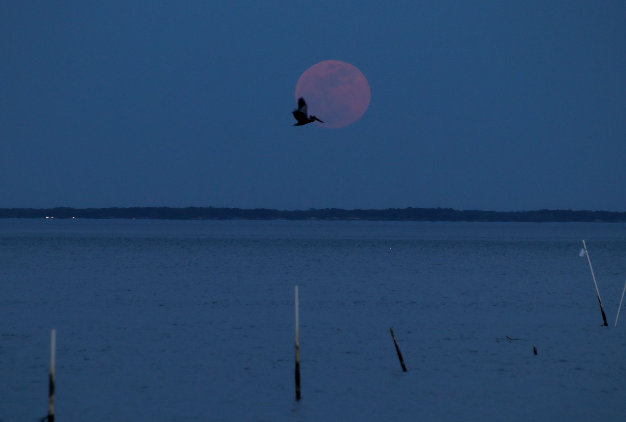 Community photo by Steven Bellavia | Smithfield, VA