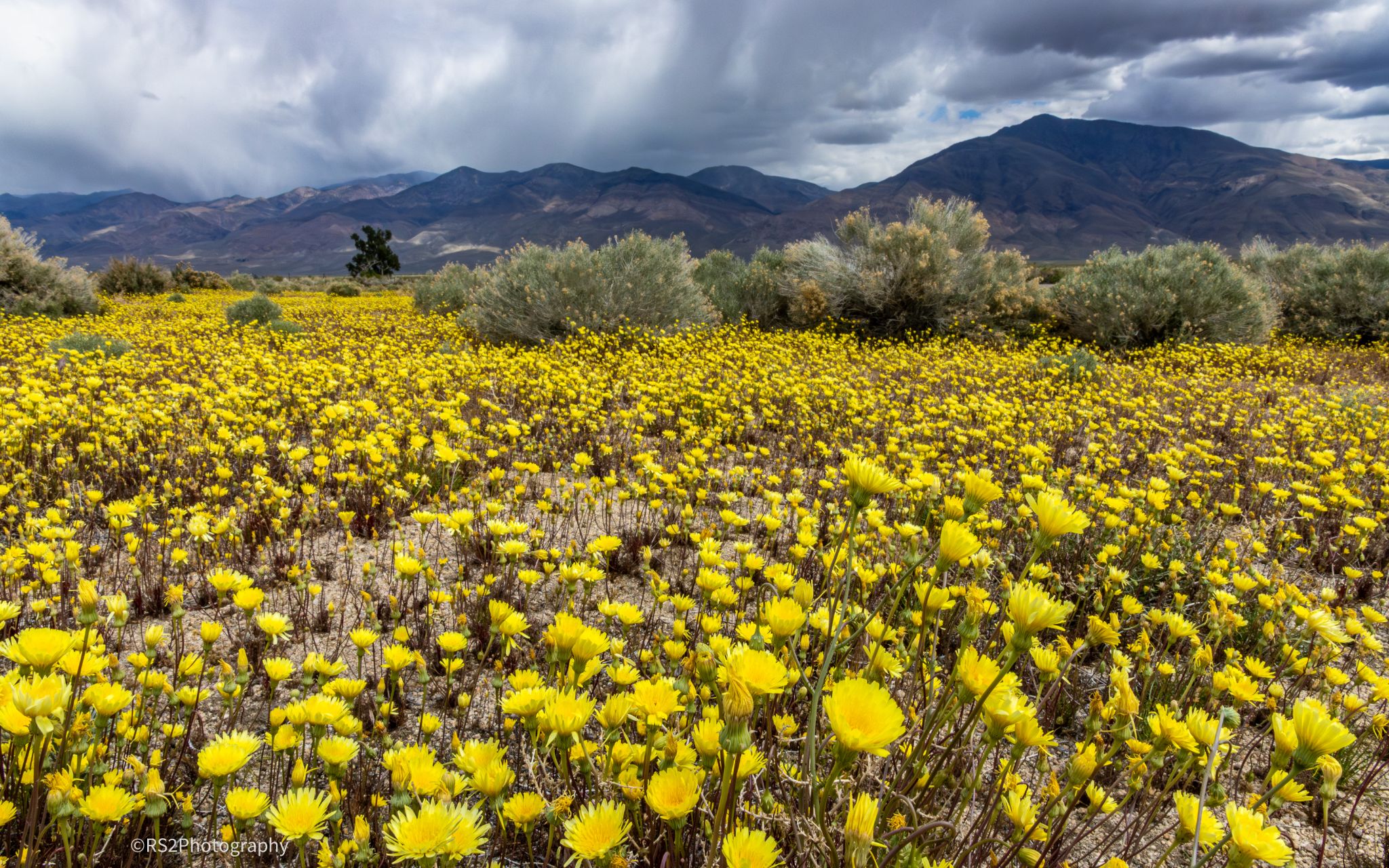 Community photo by Ross Stone | Eastern Sierra, Owens Valley, Big Pine, CA