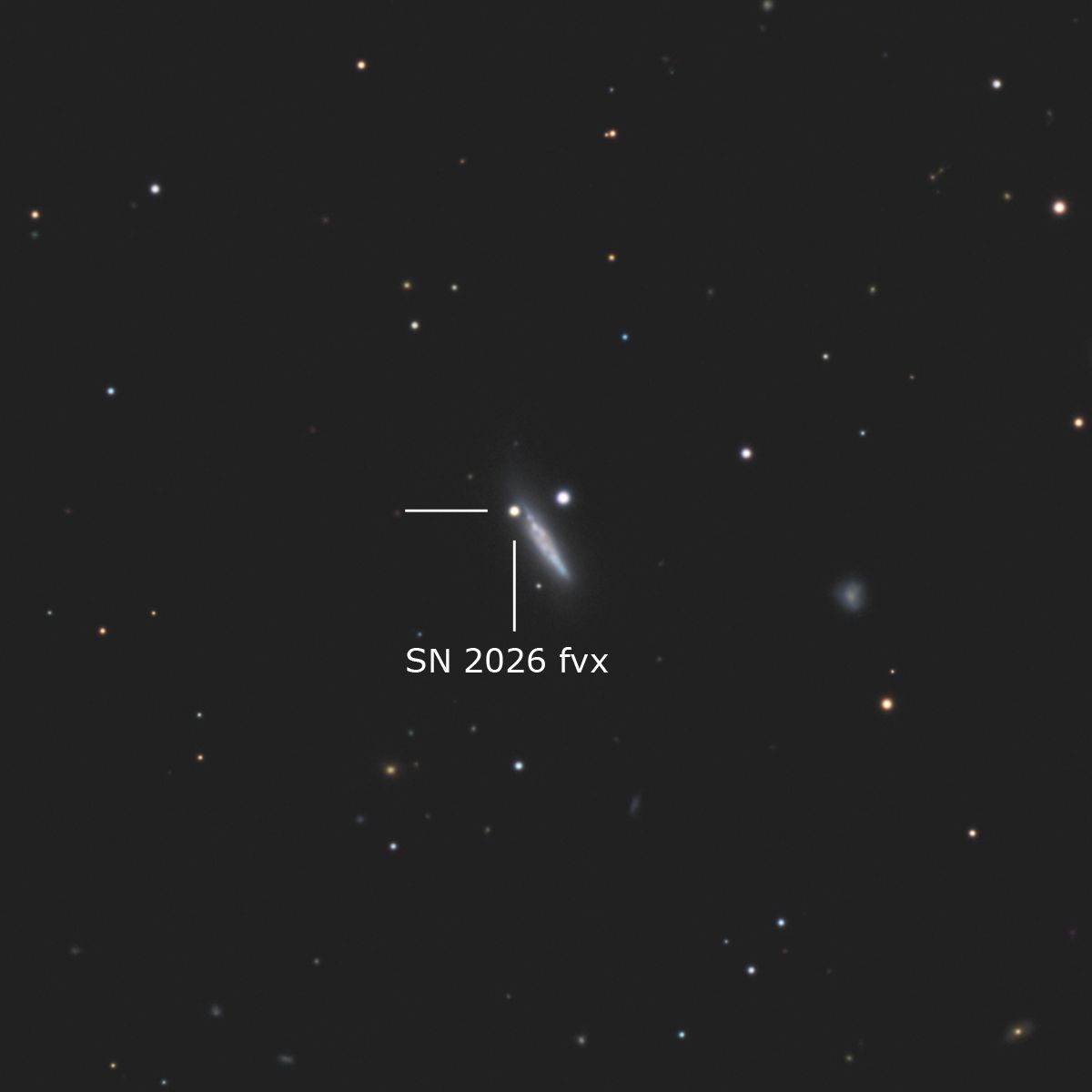 Community photo by Steven Bellavia | Smithfield, VA