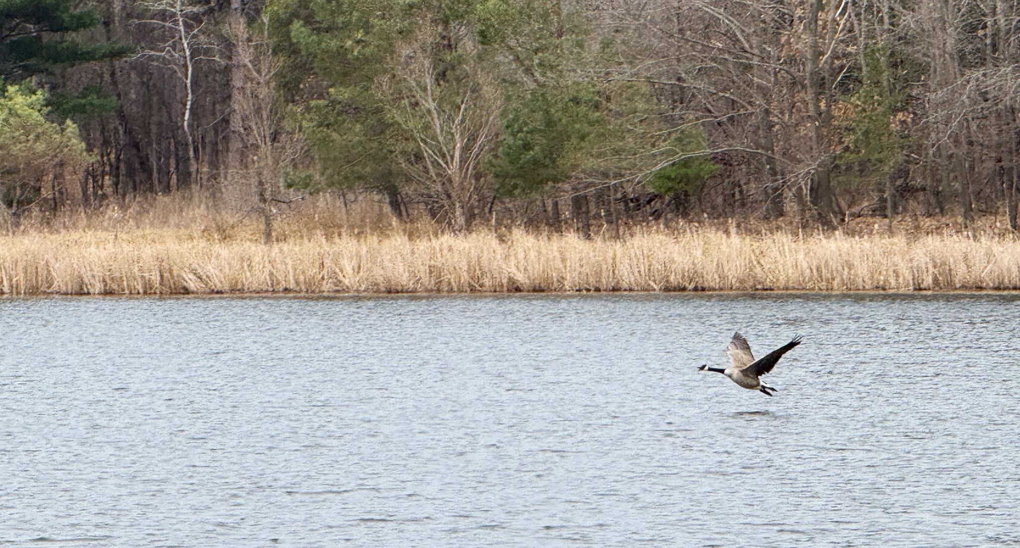 Community photo by Asha