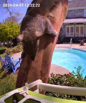 Community photo by Mark Wralstad | Virginia Beach, VA, USA