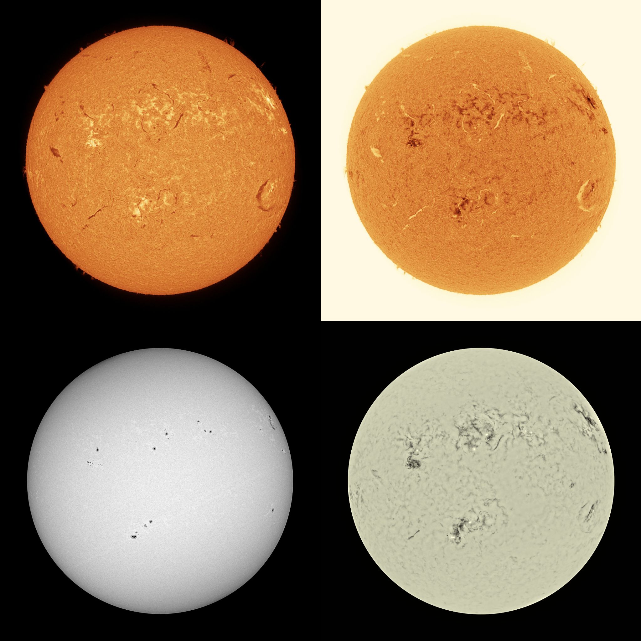 Community photo by Mario Rana | Hampton, Virginia