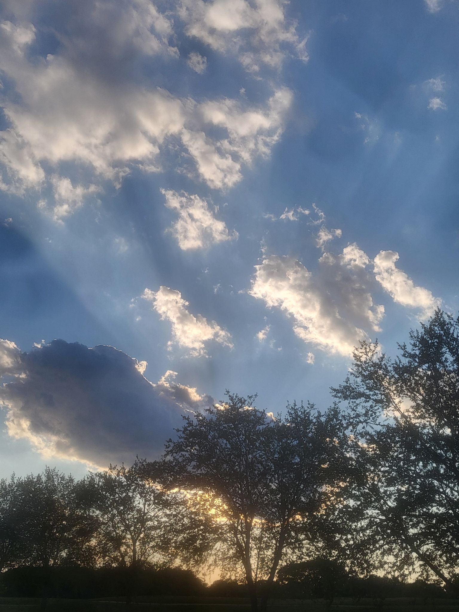 Community photo by Mark Wralstad | Virginia Beach, VA, USA