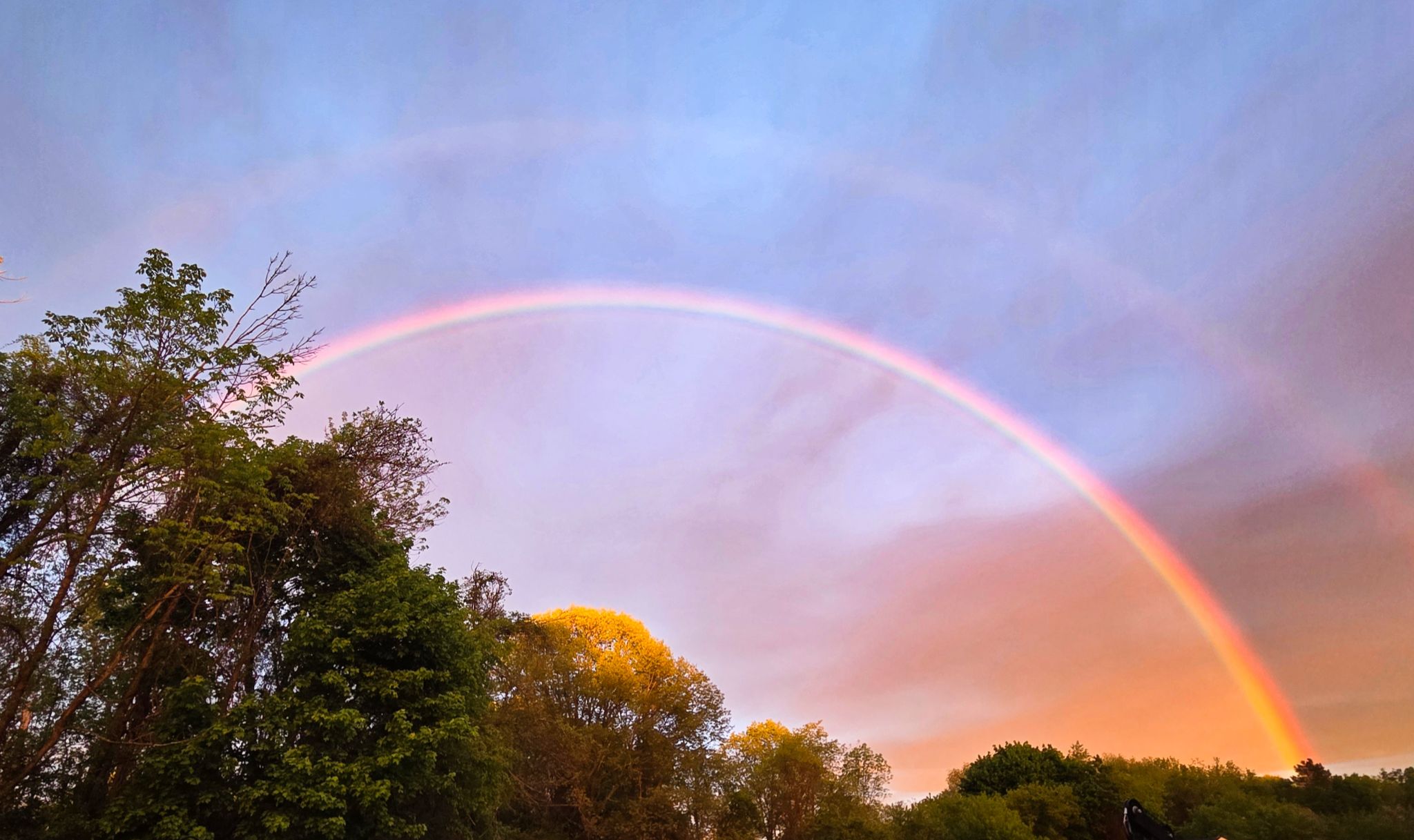Community photo by Lorraine Boyd | Delmar, NY