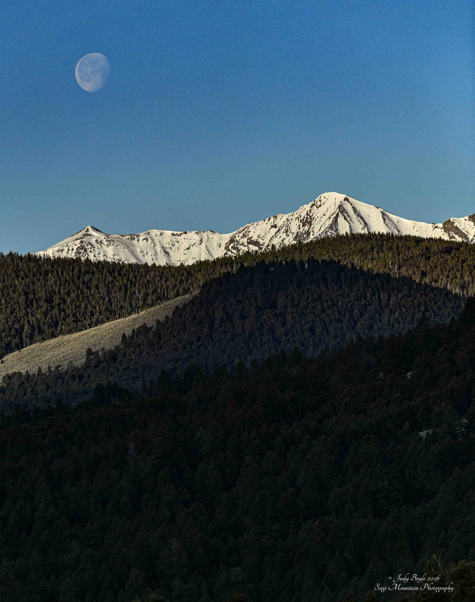 Community photo by Judy Boyle | Whitehall, MT USA