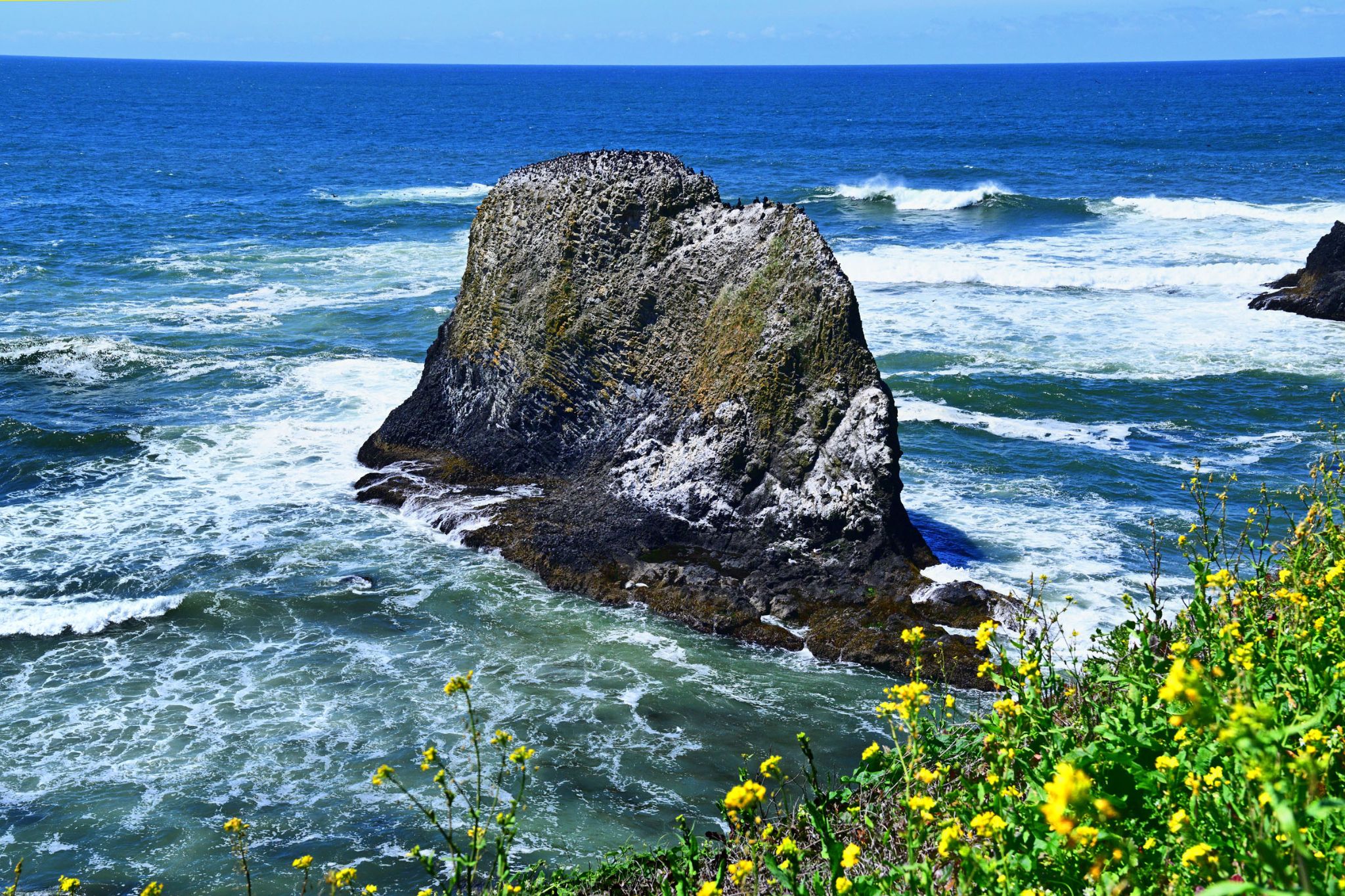 Community photo by Cecille Kennedy | Newport, Oregon