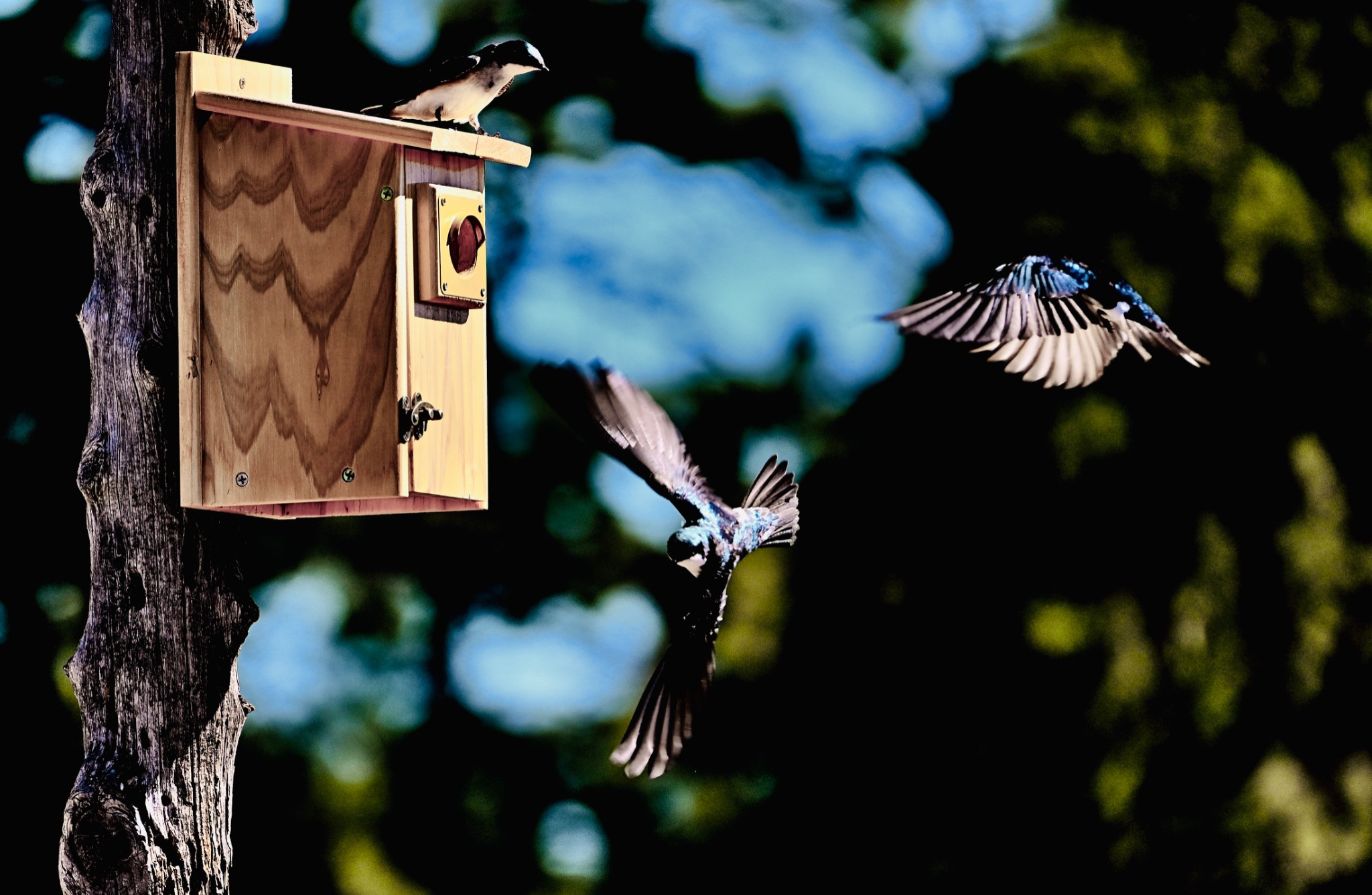 Community photo by Christoph