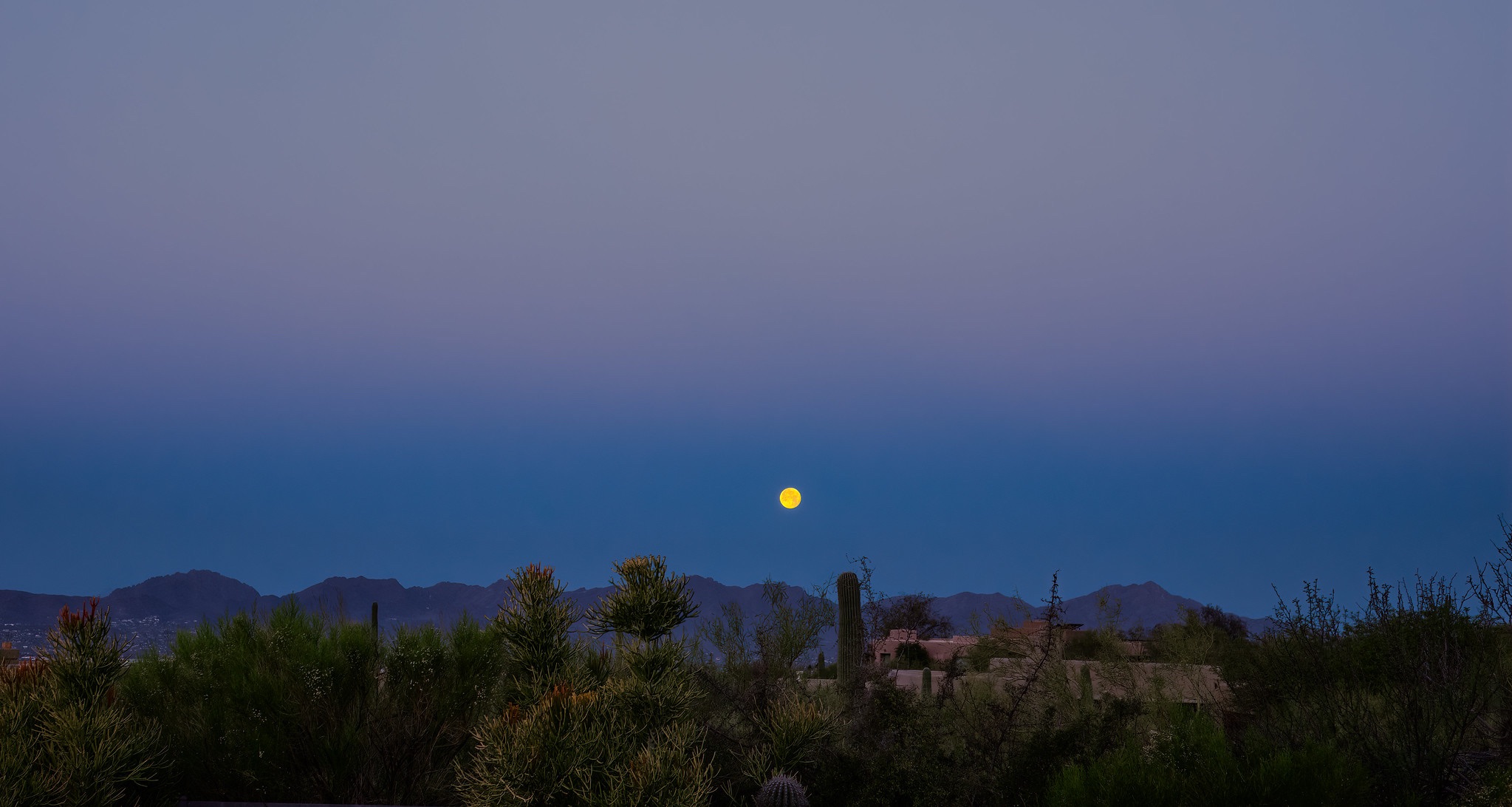 Community photo by Eliot Herman | Tucson AZ