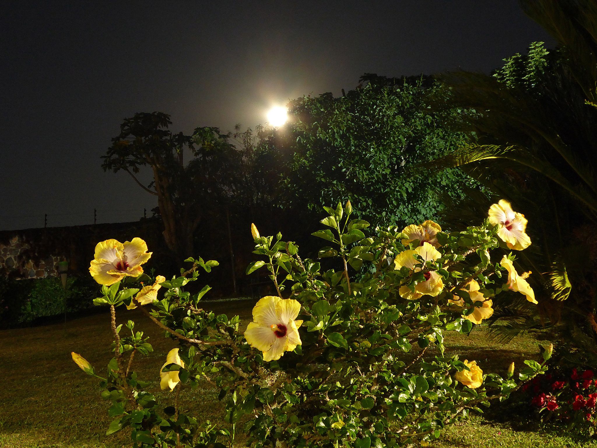 Community photo by Peter Lowenstein | Mutare, Zimbabwe
