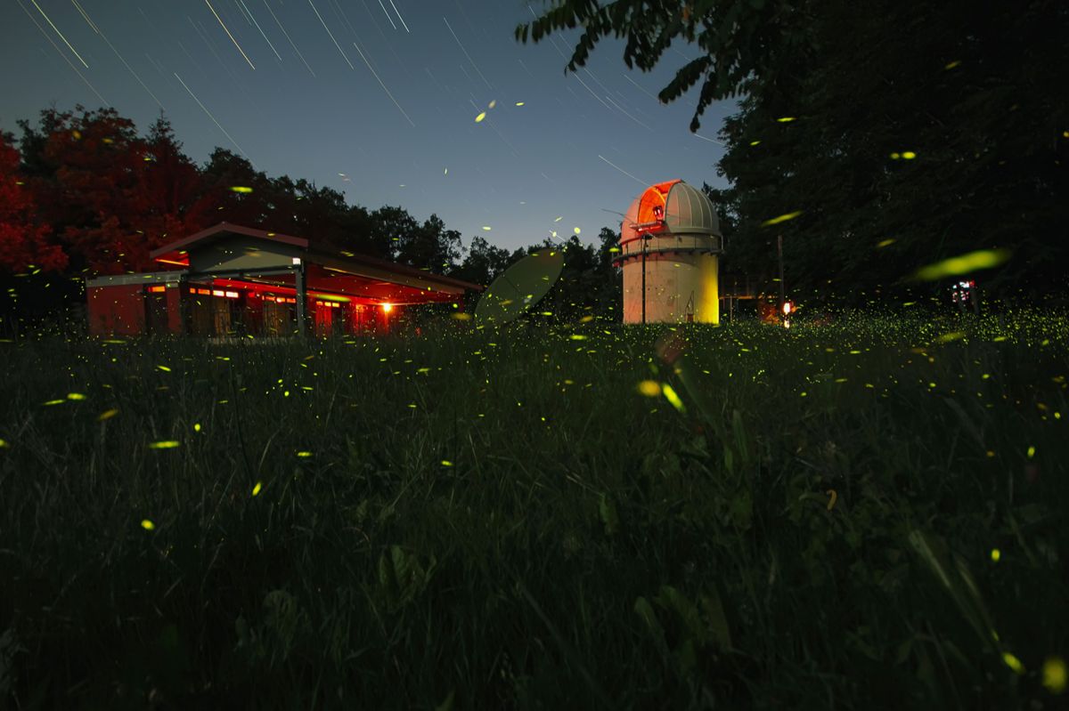 Community photo by Paolo