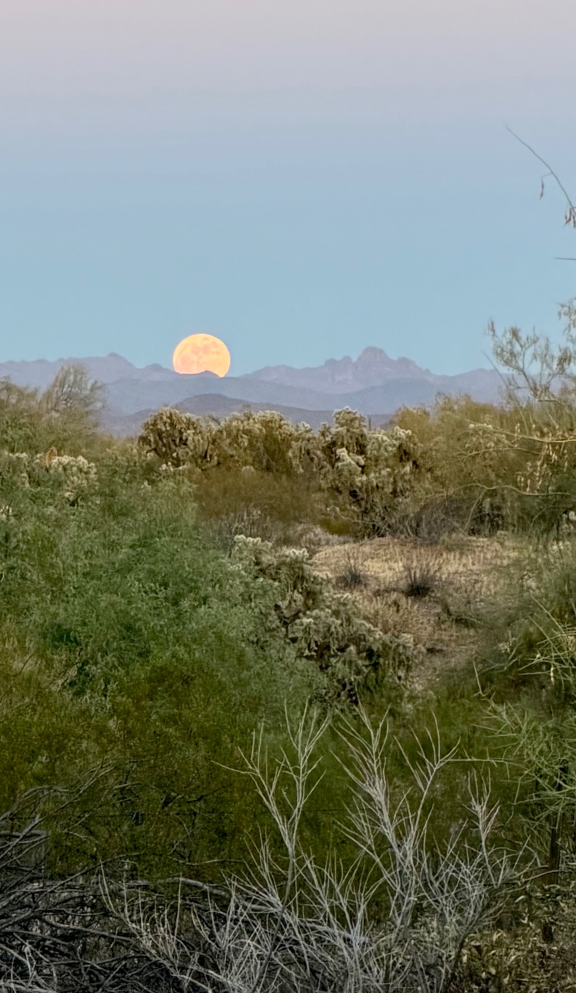 Community photo by Dr. Kathleen Audette | Gold Canyon, AZ