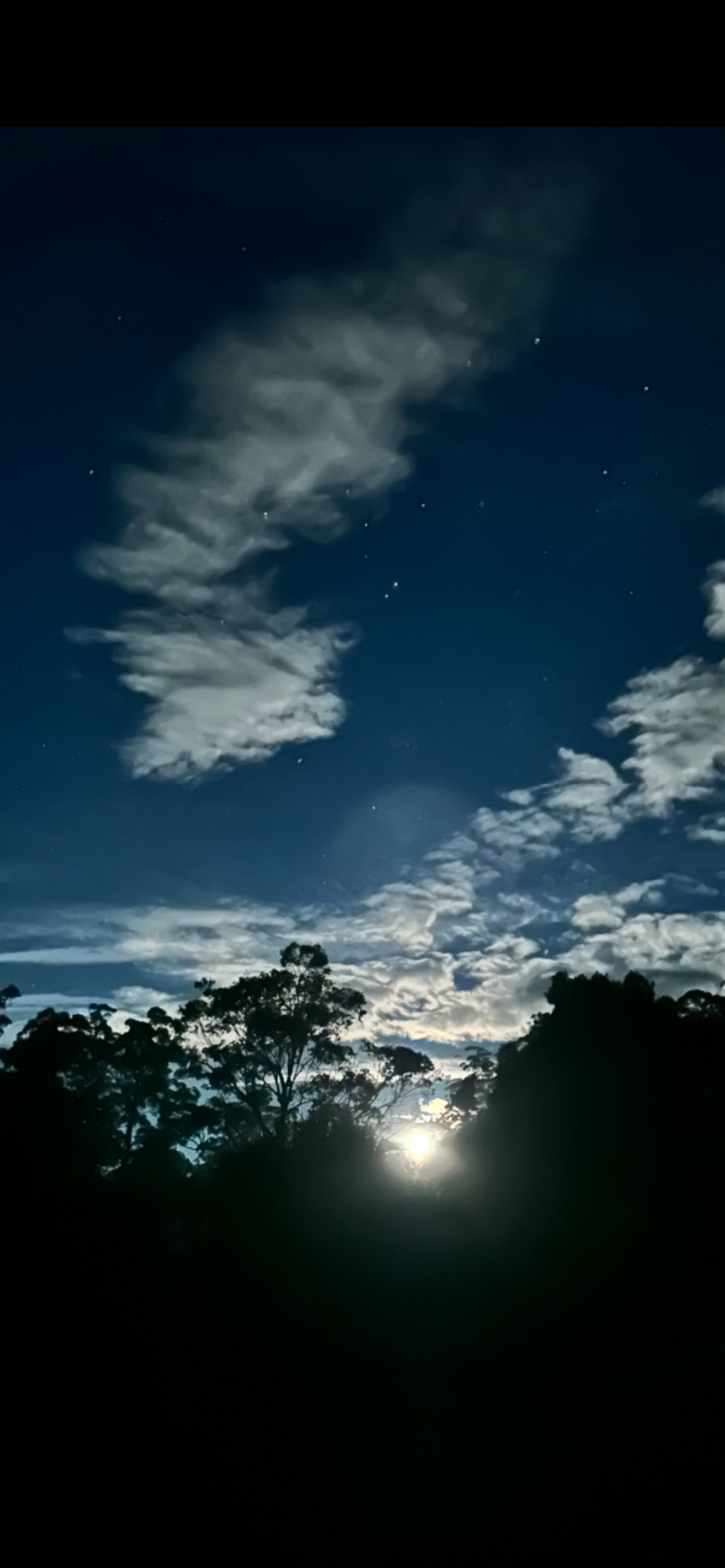 Community photo by Lee Corda | Kendall NSW Australia