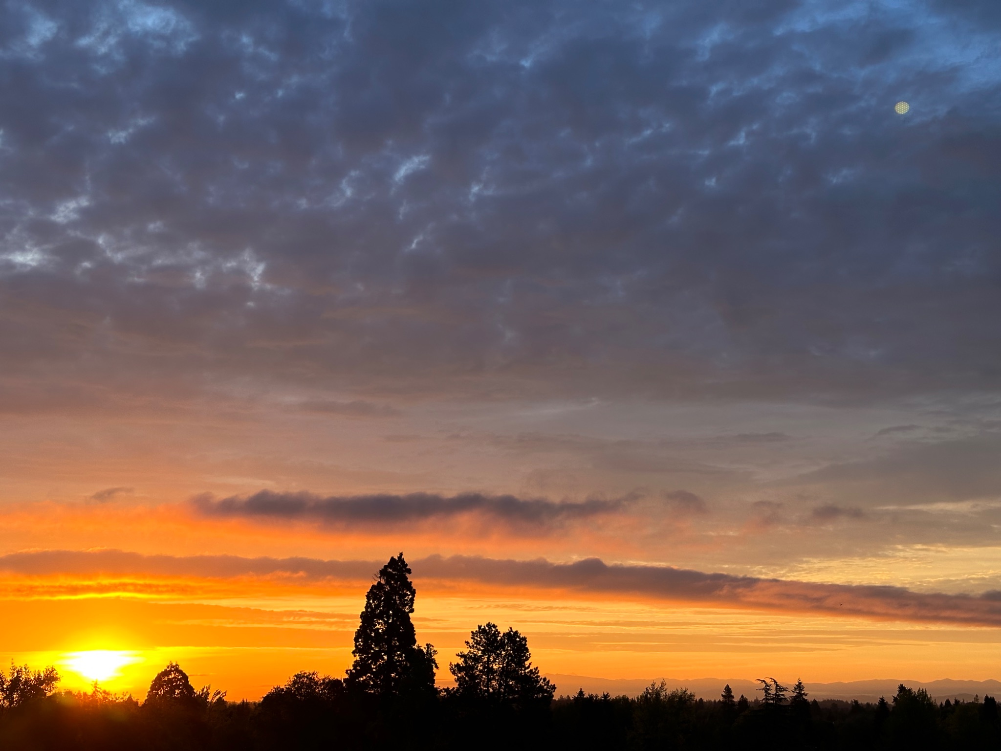 Community photo by Victoria Bryhan | Corvallis, Oregon