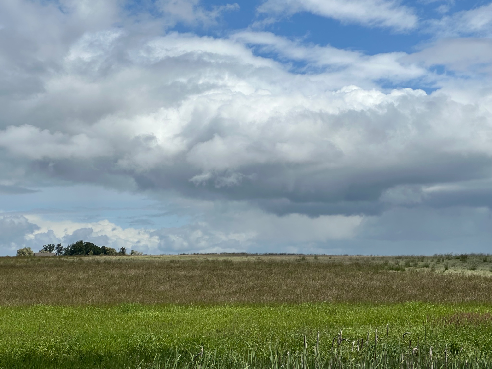 Community photo by Victoria Bryhan | Finley National Wildlife Refuge, Corvallis, Oregon