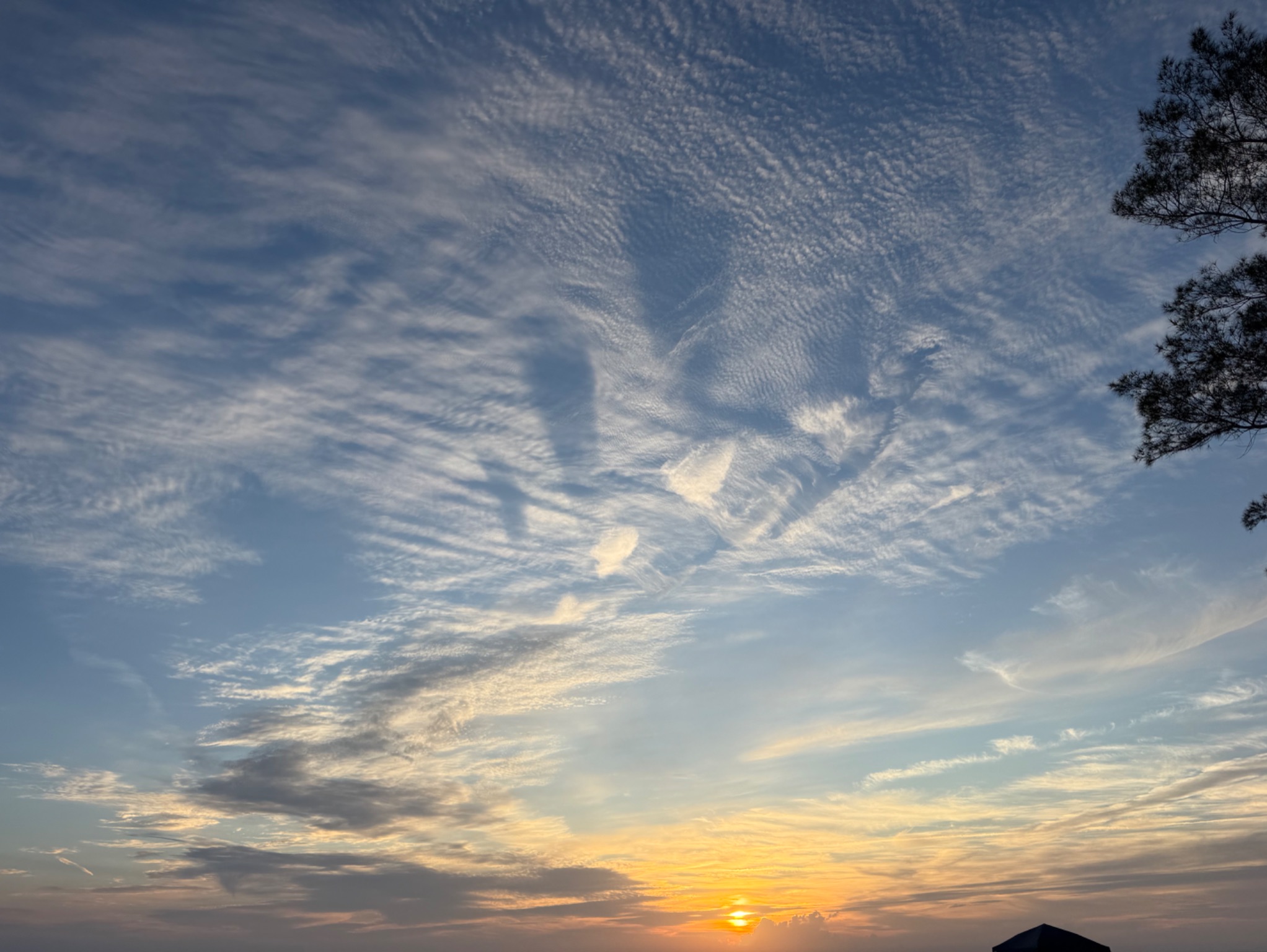 Community photo by Nancy Case | Indian Rocks Beach, Florida