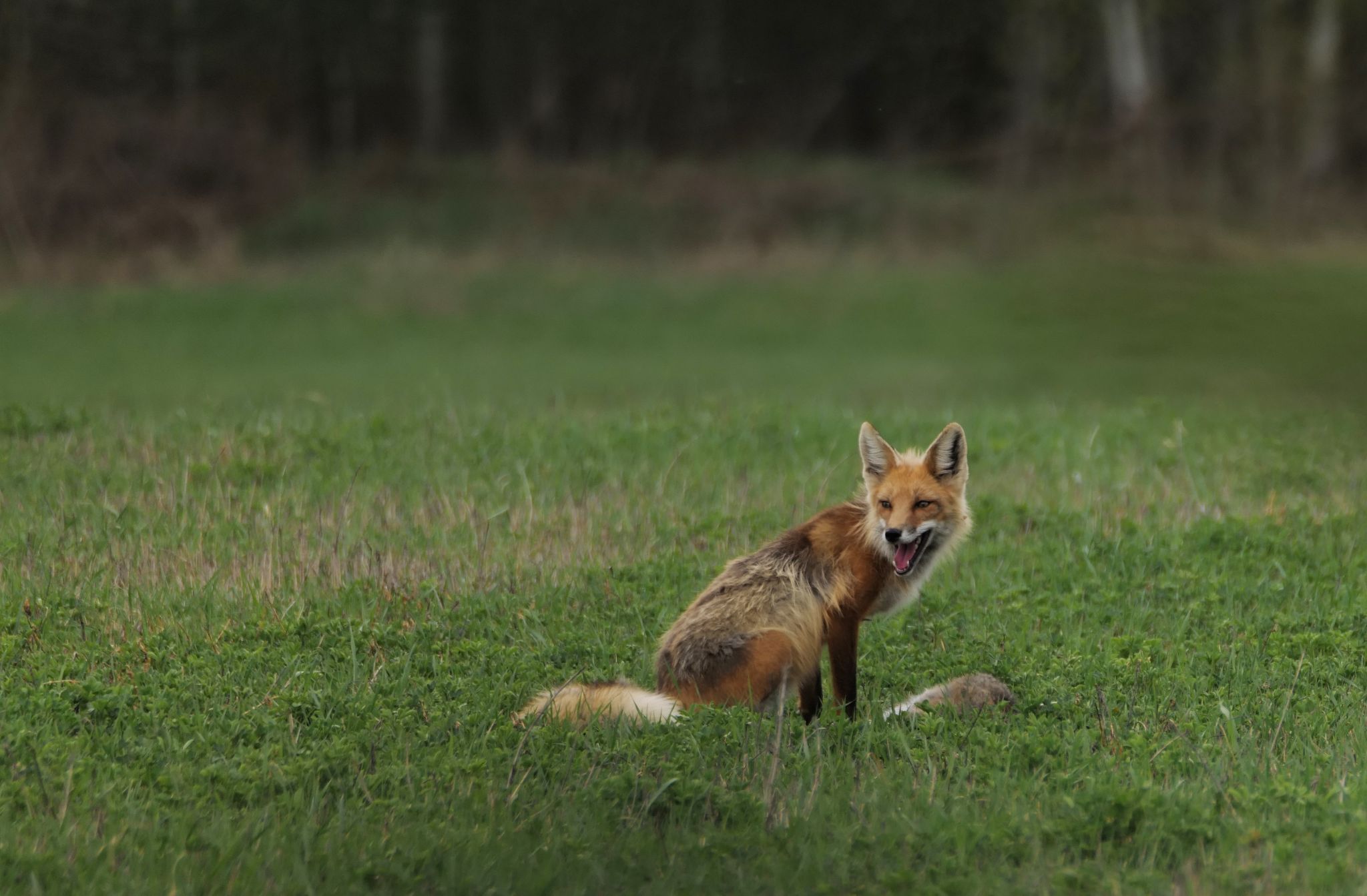 Community photo by Elmarie