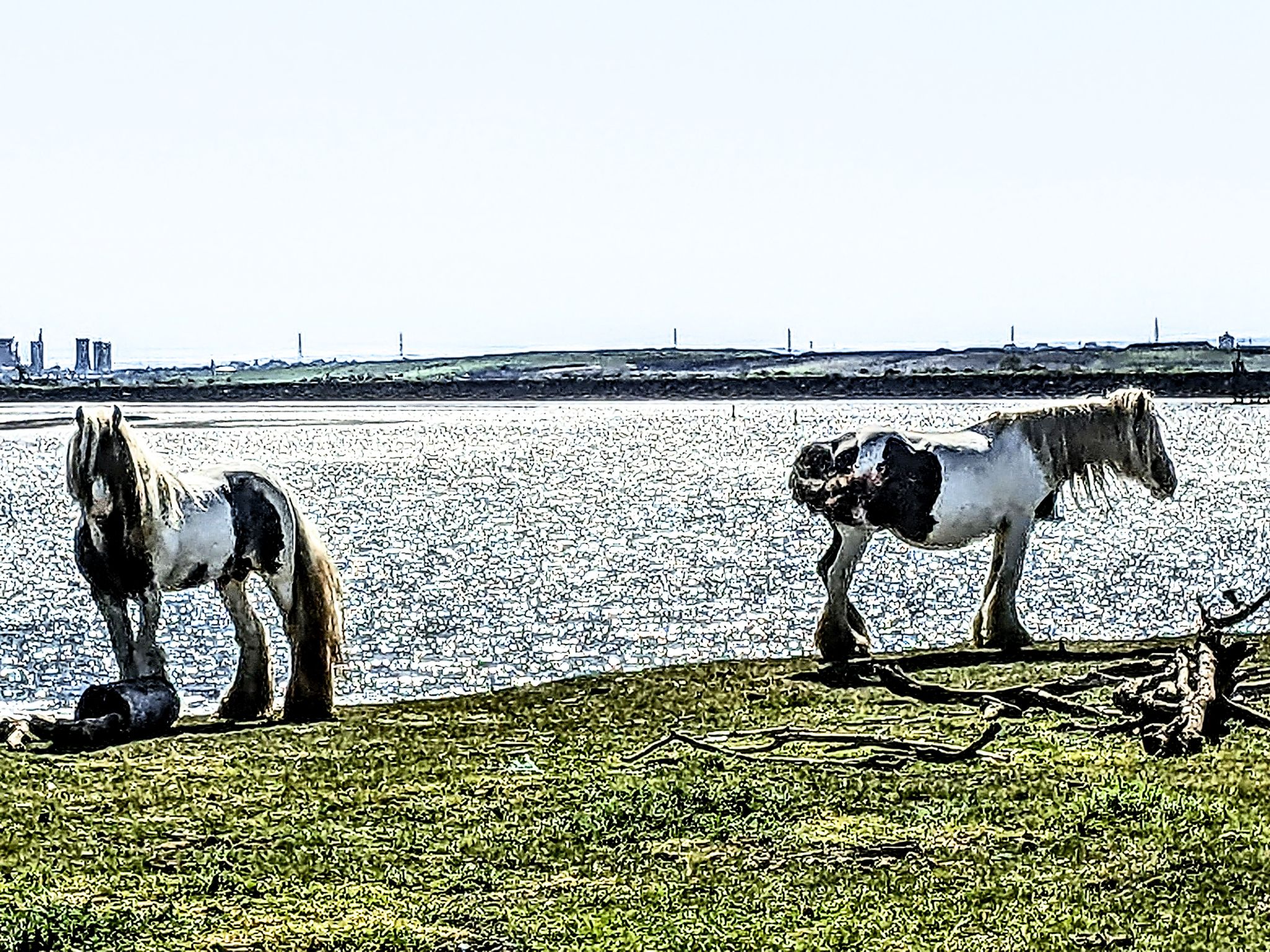 Community photo by Kevan