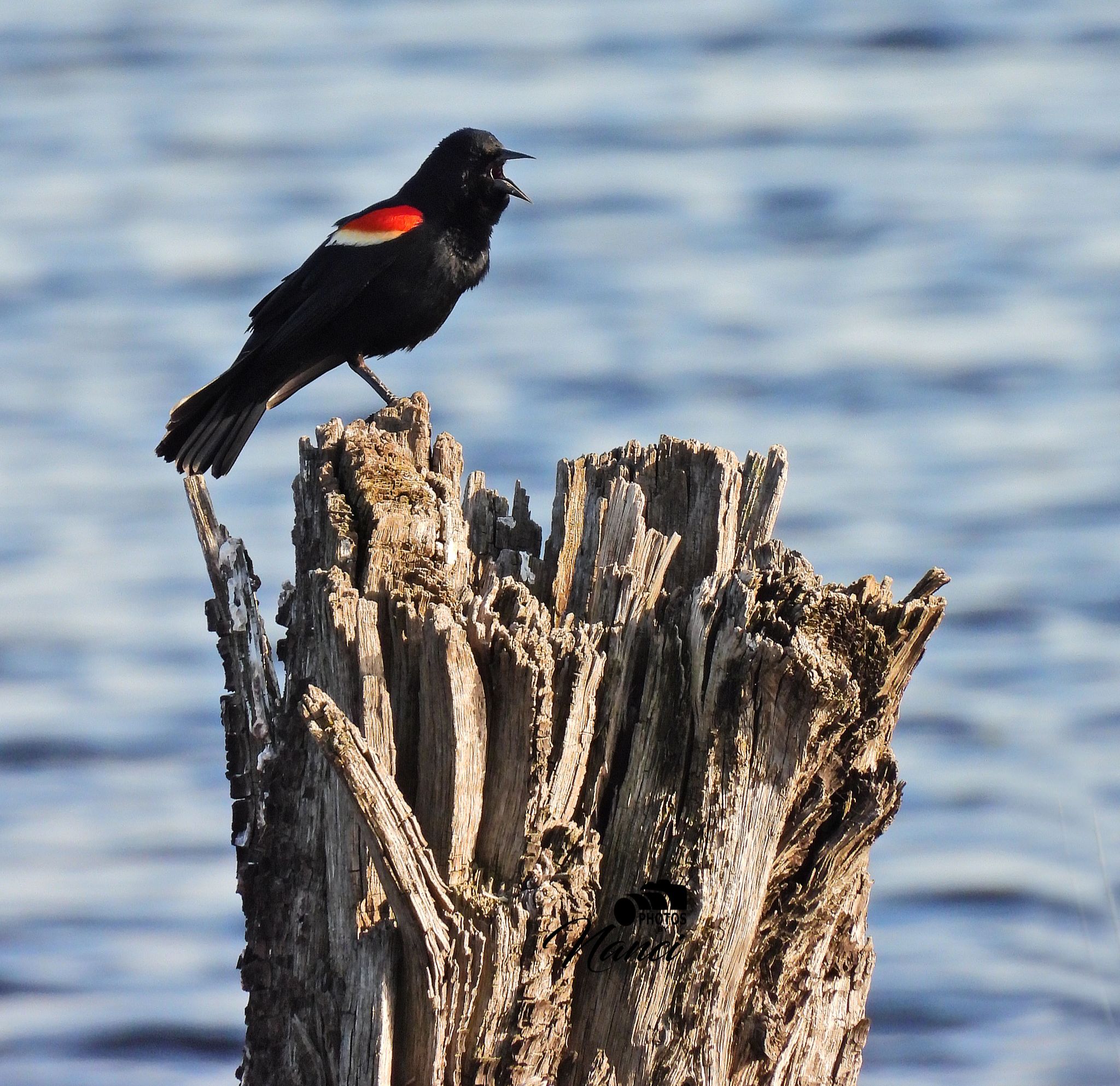 Community photo by Nanci McCraine | Cayuga Lake NYS