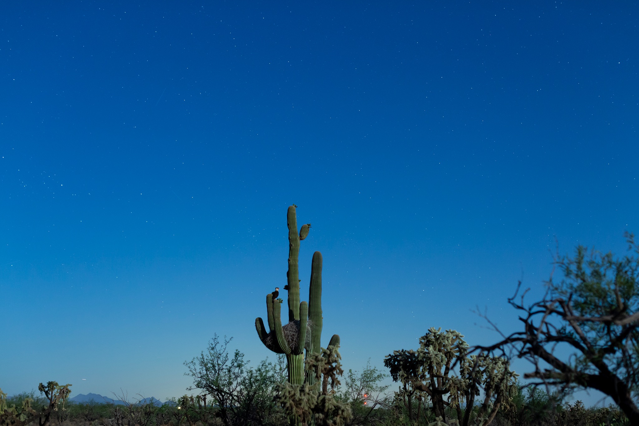 Community photo by Jelieta Walinski Ph.D | Highway 86, Altar Valley / Three Points, Arizona, USA (near Kitt Peak National Observatory), AZ, USA