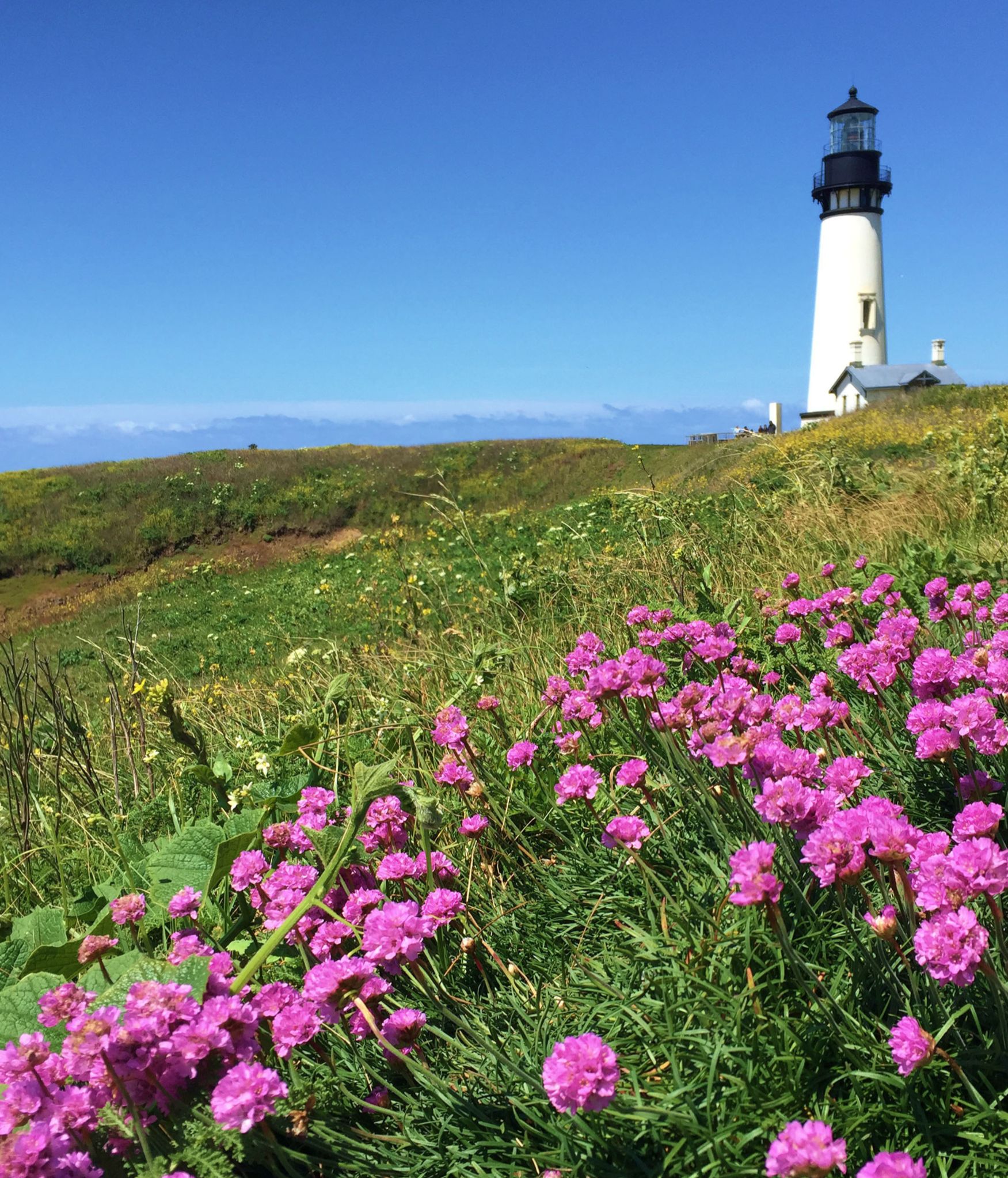 Community photo by Cecille Kennedy | Newport, Oregon