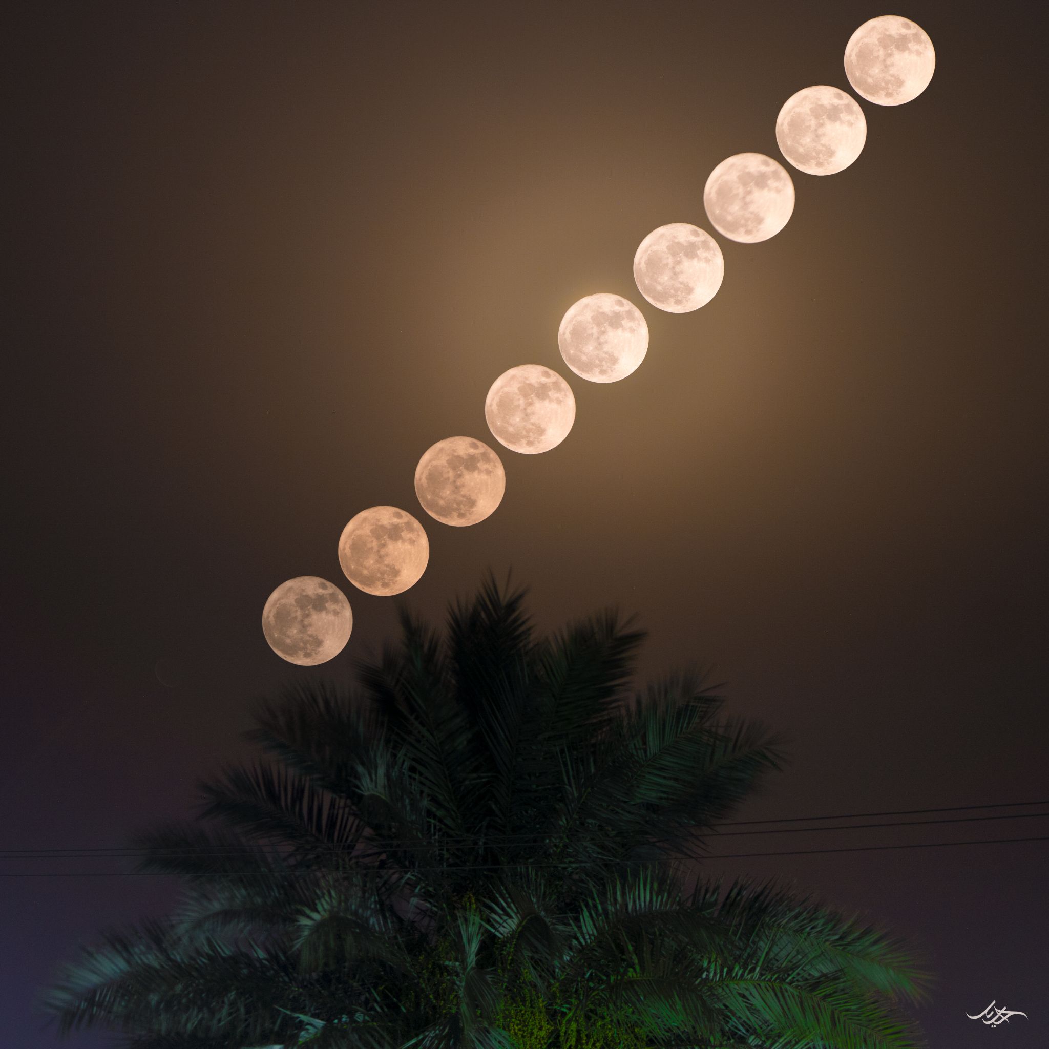 Community photo by Saqlain Haider | Pattoki, Punjab, Pakistan
