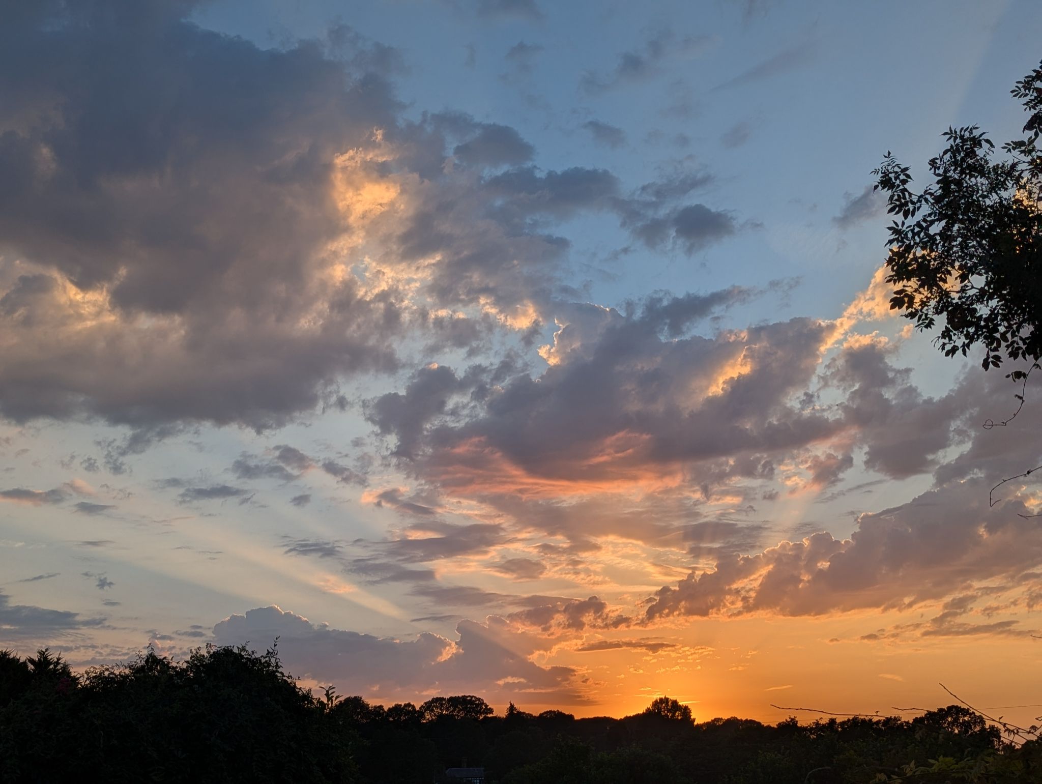 Community photo by ANDREW MACLEAN | Turners Hill, West Sussex, UK