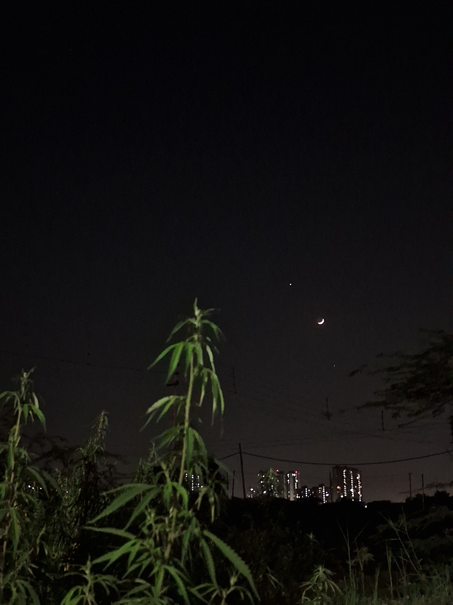 Community photo by Vedant