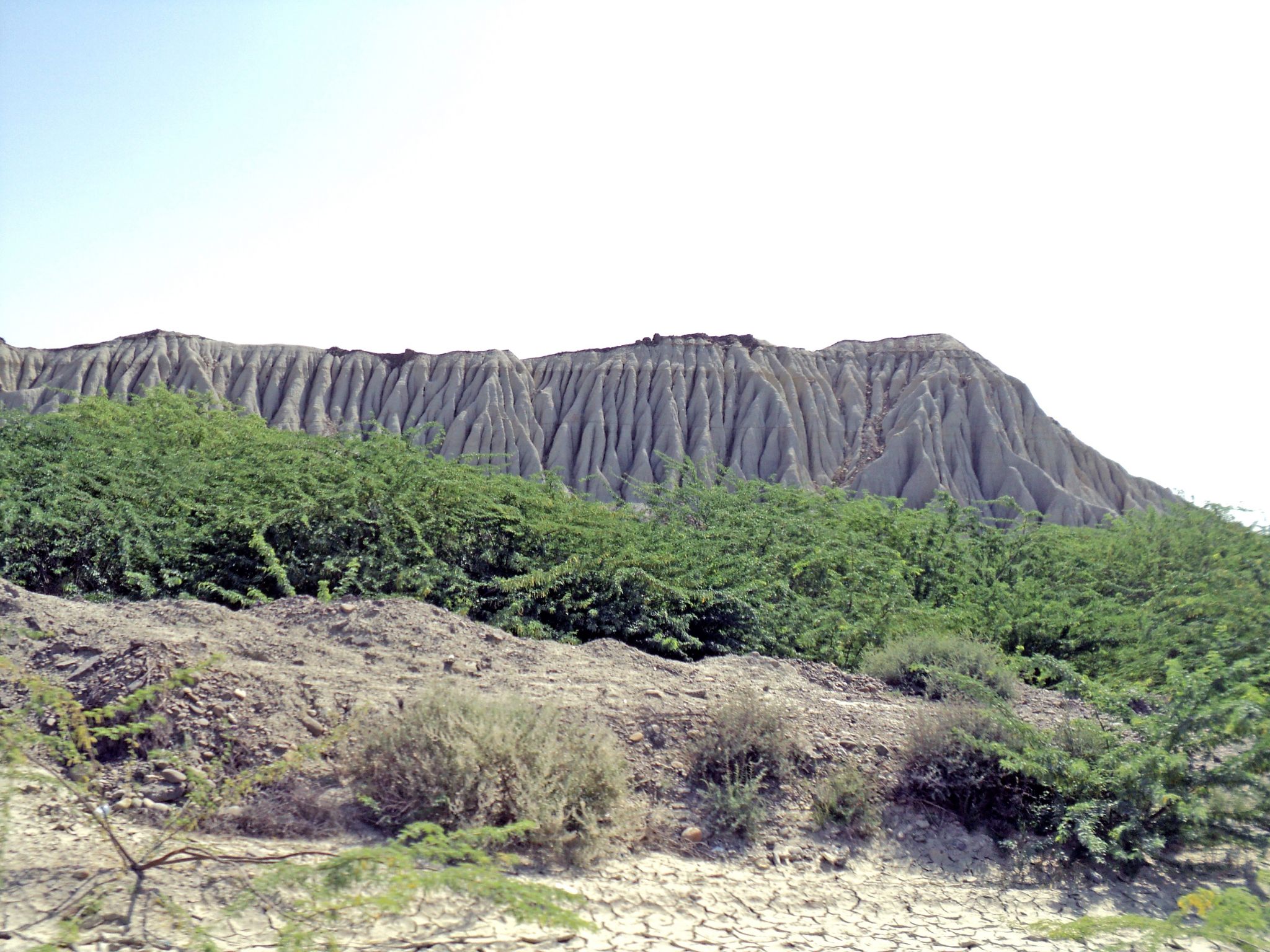 Community photo by Hassan Dadashi.Arani | Sistan and Baluchestan province. Iran