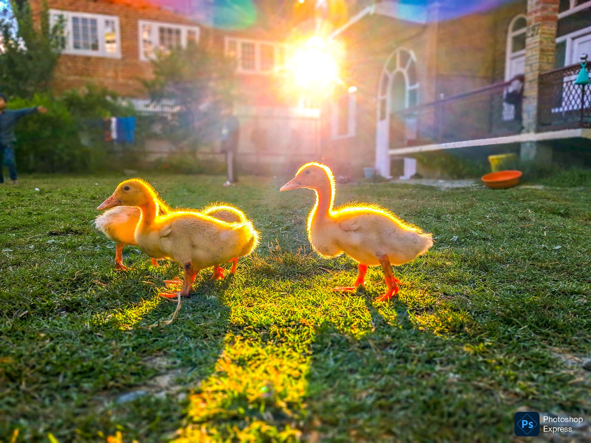 Community photo by Umar